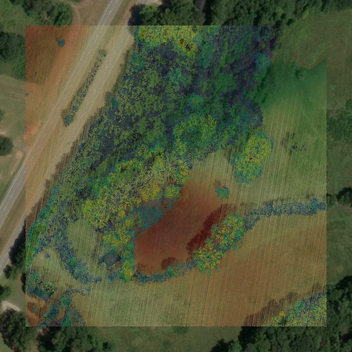 This image shows a LiDAR point cloud in Carroll County created using GIS data in Equator.