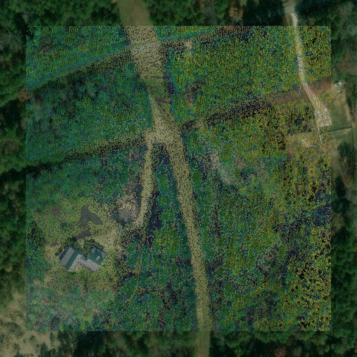 This image shows a LiDAR point cloud in Catoosa County created using GIS data in Equator.