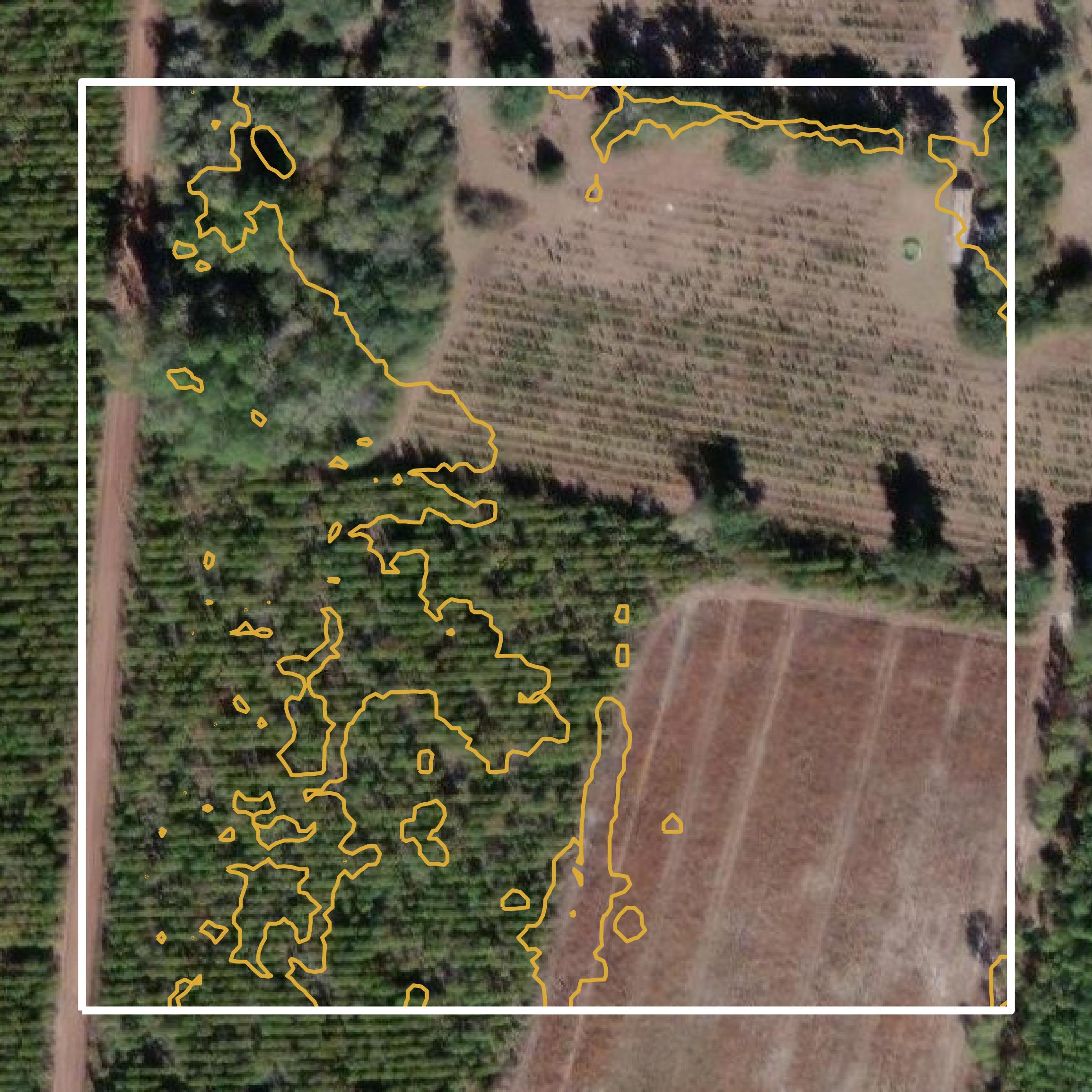 This image shows a contour map in Charlton County created using GIS data in Equator.