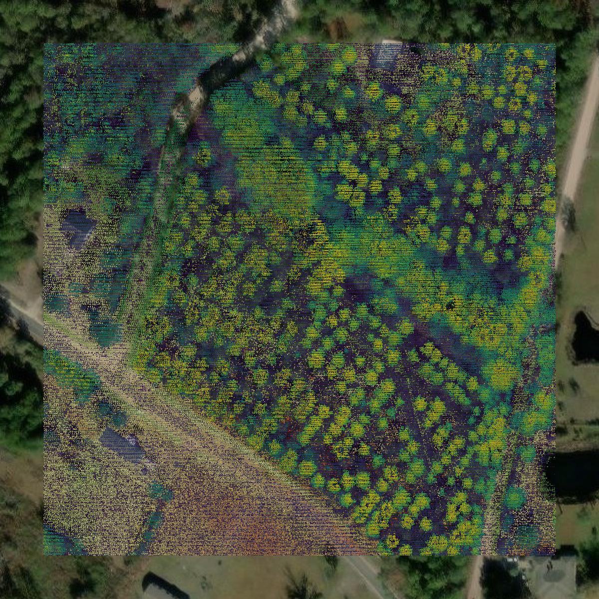 This image shows a LiDAR point cloud in Charlton County created using GIS data in Equator.