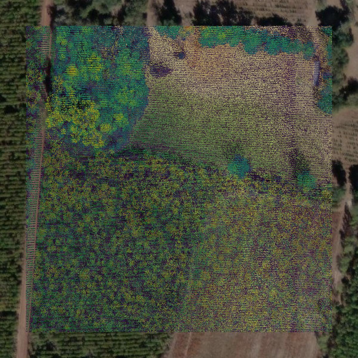 This image shows a LiDAR point cloud in Charlton County created using GIS data in Equator.
