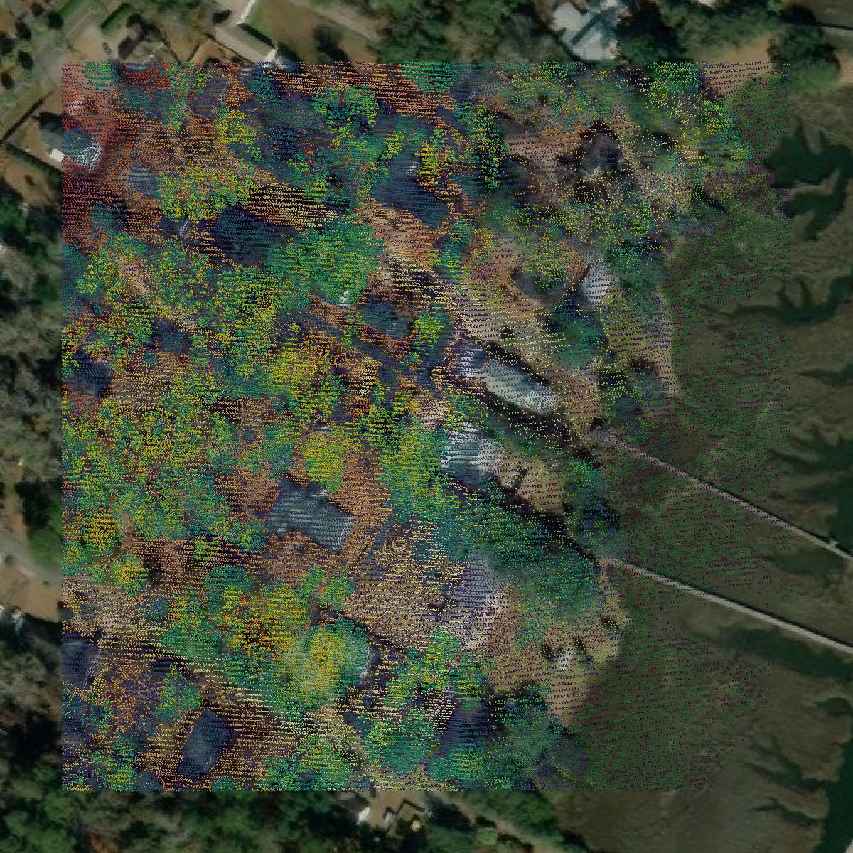 This image shows a LiDAR point cloud in Chatham County created using GIS data in Equator.