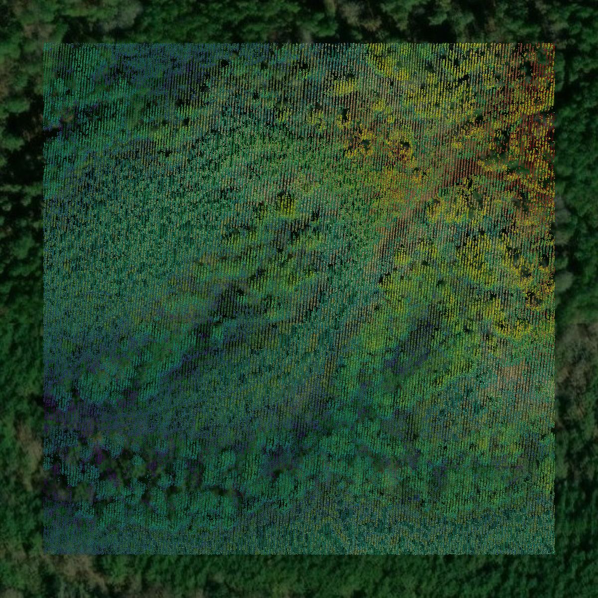 This image shows a LiDAR point cloud in Chattahoochee County created using GIS data in Equator.