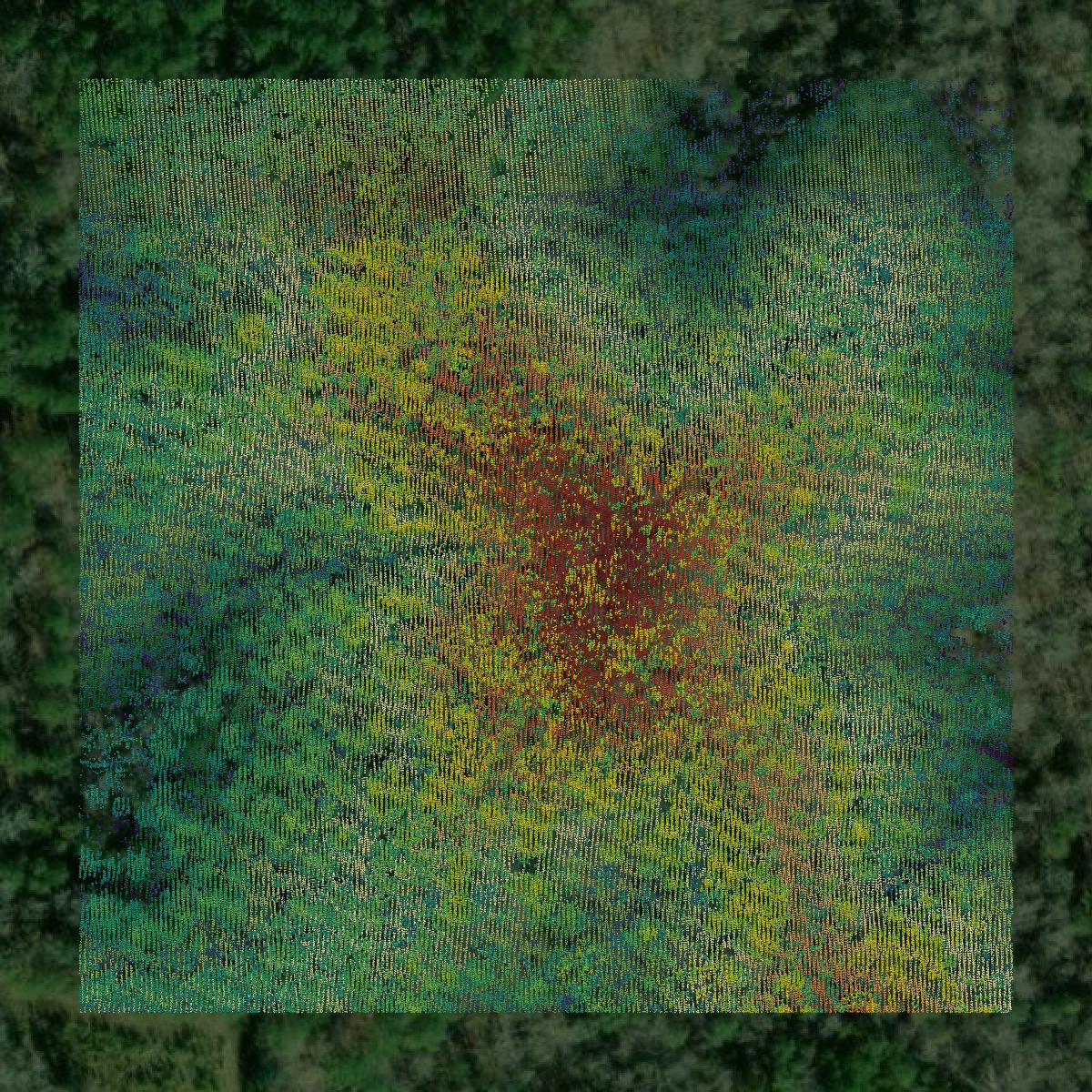 This image shows a LiDAR point cloud in Chattahoochee County created using GIS data in Equator.