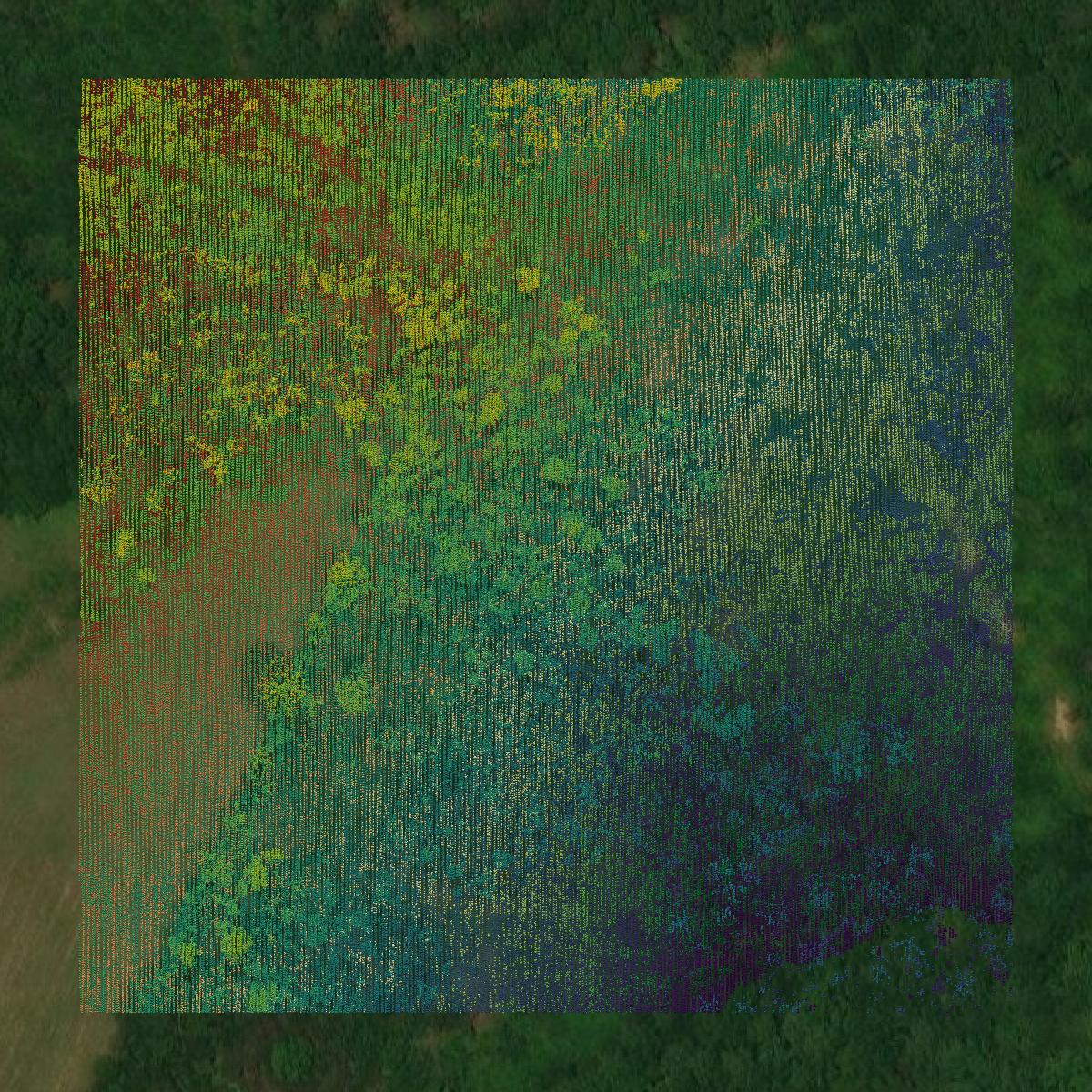 This image shows a LiDAR point cloud in Chattooga County created using GIS data in Equator.