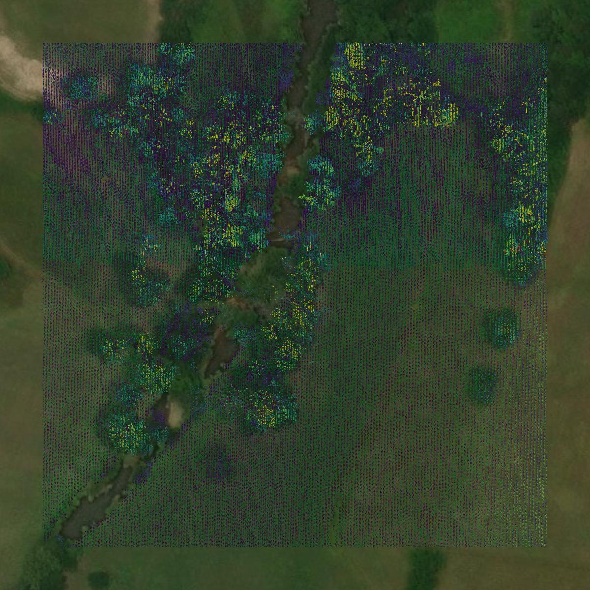 This image shows a LiDAR point cloud in Chattooga County created using GIS data in Equator.