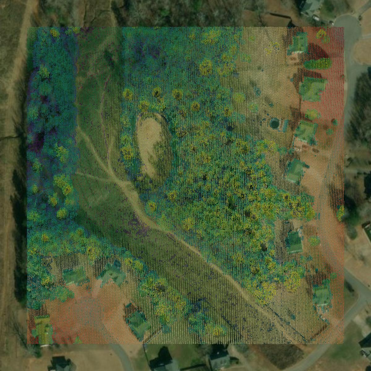 This image shows a LiDAR point cloud in Cherokee County created using GIS data in Equator.