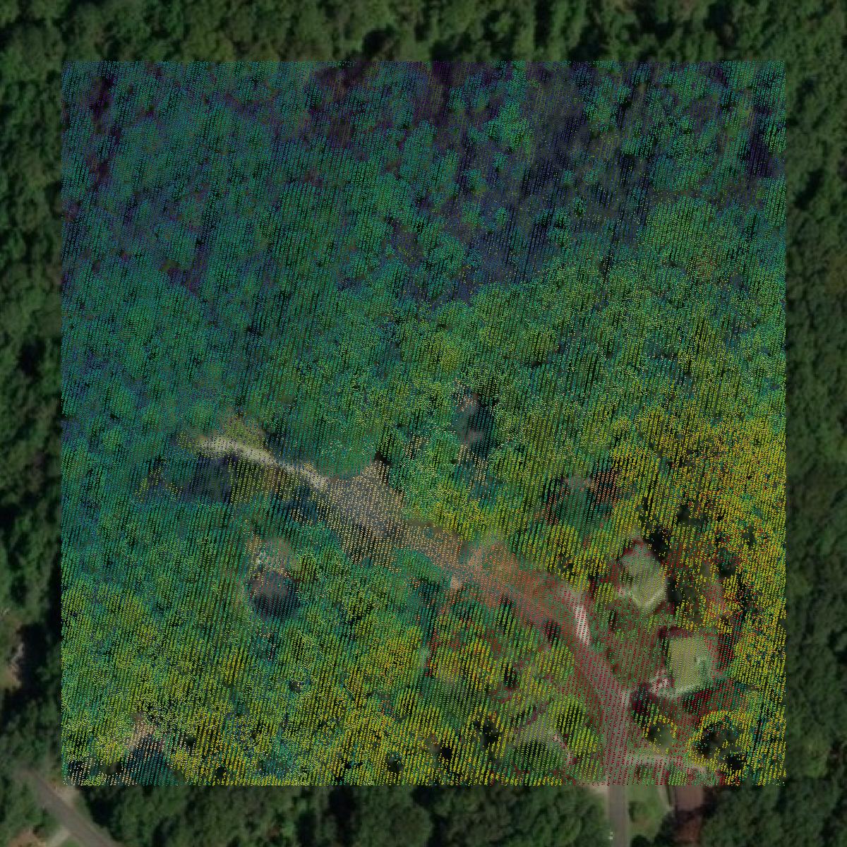 This image shows a LiDAR point cloud in Cherokee County created using GIS data in Equator.