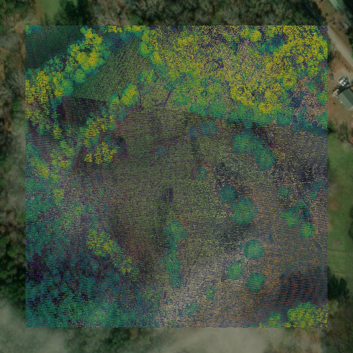 This image shows a LiDAR point cloud in Clarke County created using GIS data in Equator.