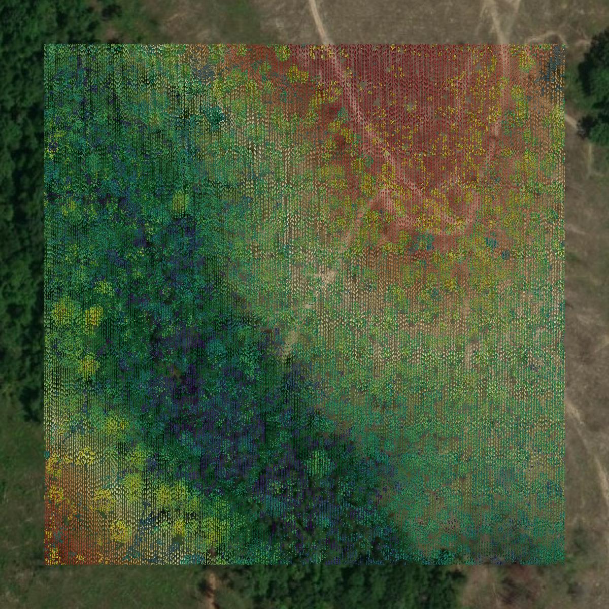 This image shows a LiDAR point cloud in Clay County created using GIS data in Equator.