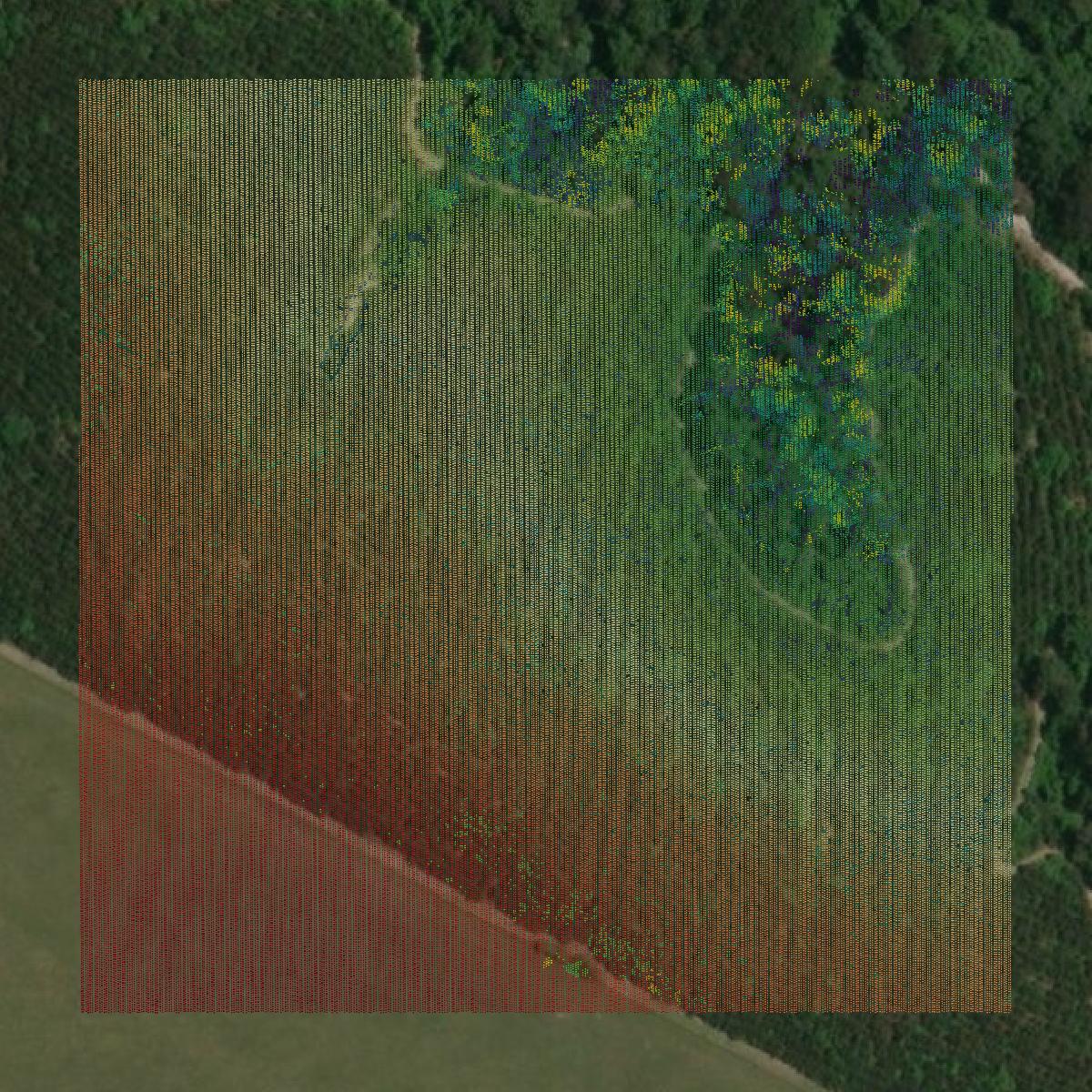 This image shows a LiDAR point cloud in Clay County created using GIS data in Equator.