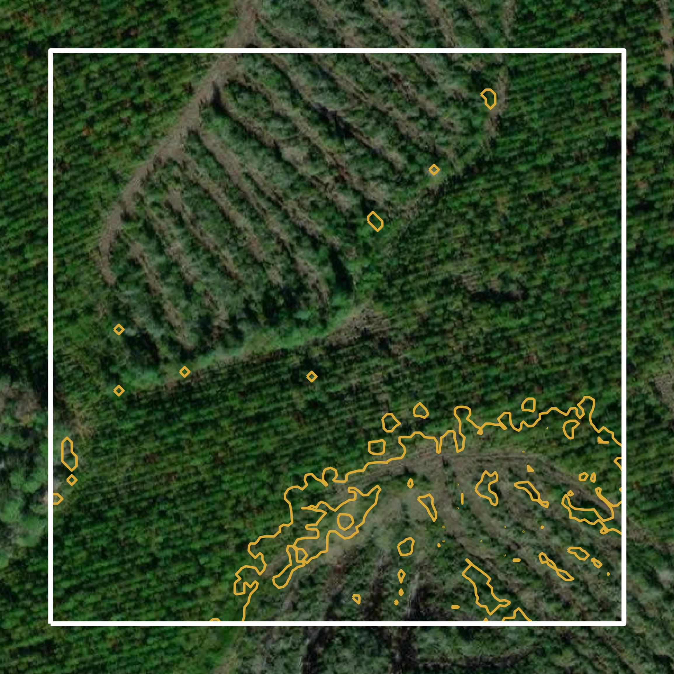 This image shows a contour map in Clinch County created using GIS data in Equator.