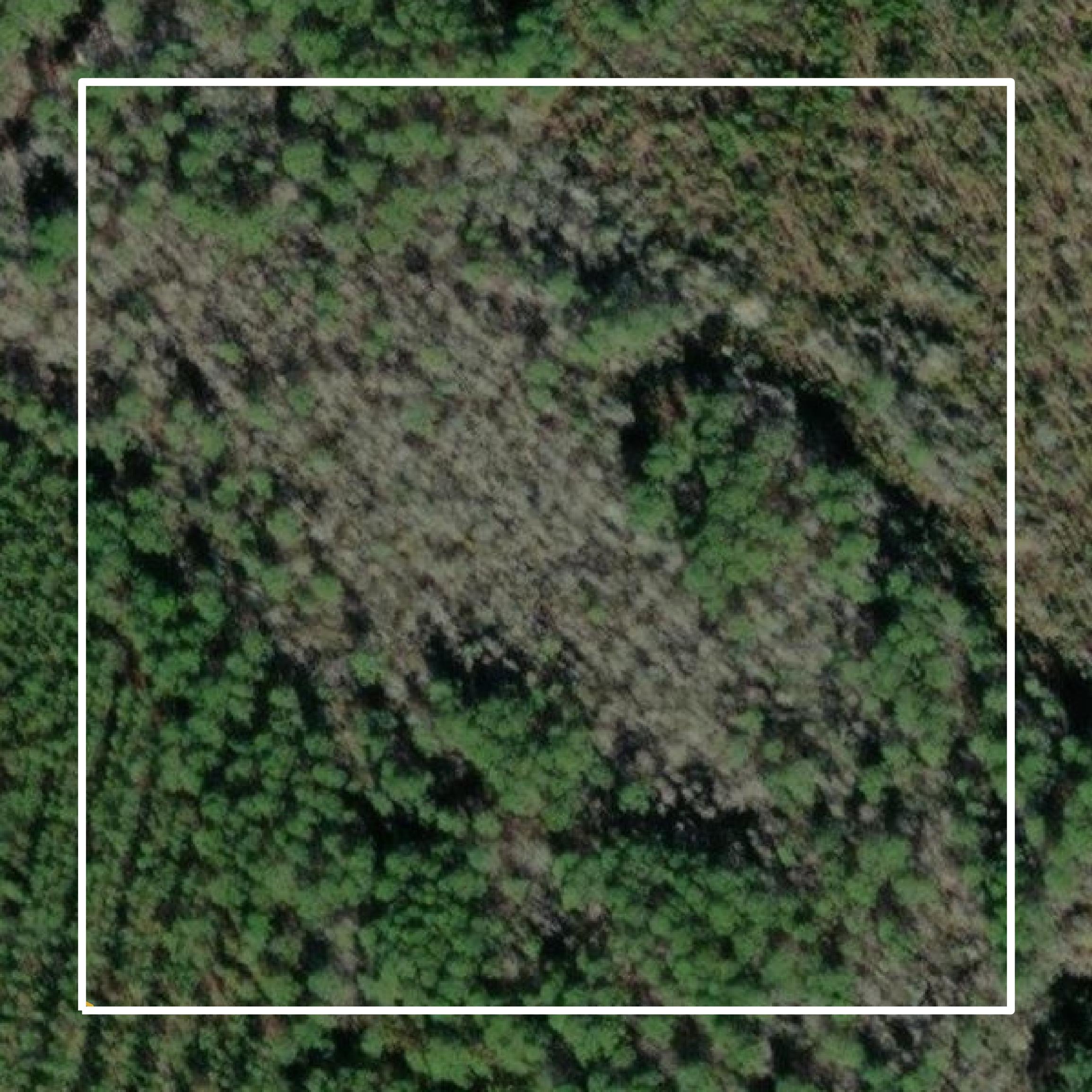 This image shows a contour map in Clinch County created using GIS data in Equator.