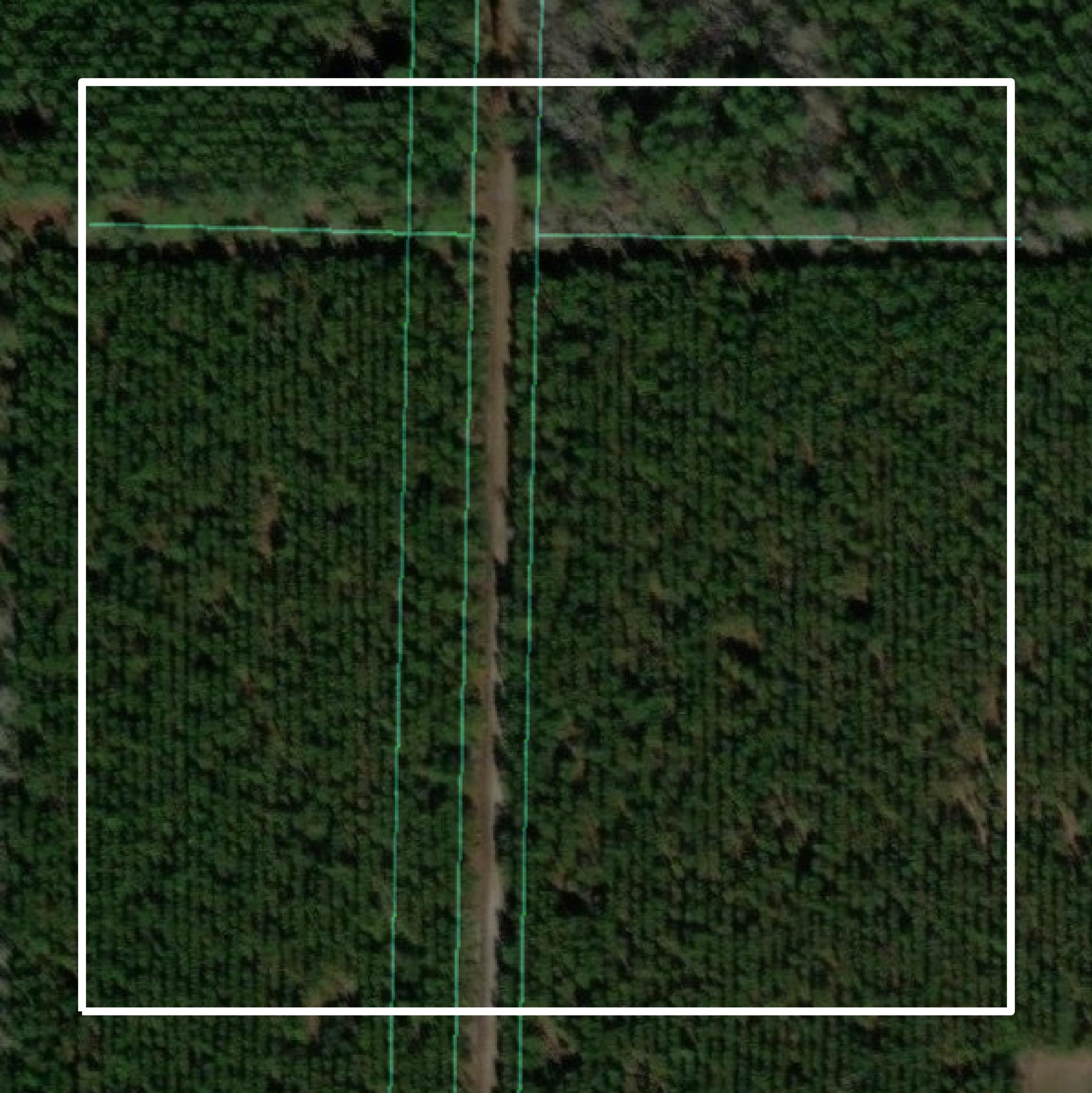 This image shows parcel and building data in Clinch County created using GIS data in Equator.