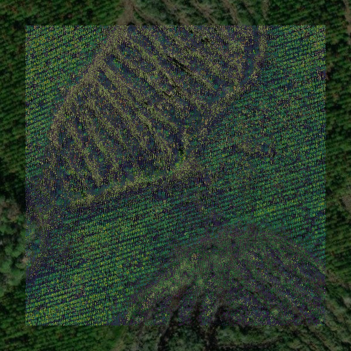 This image shows a LiDAR point cloud in Clinch County created using GIS data in Equator.