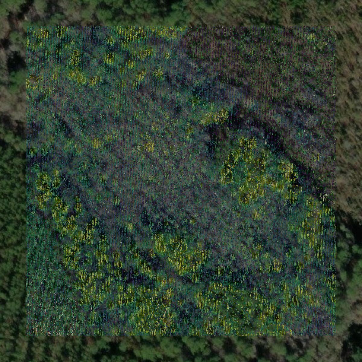 This image shows a LiDAR point cloud in Clinch County created using GIS data in Equator.