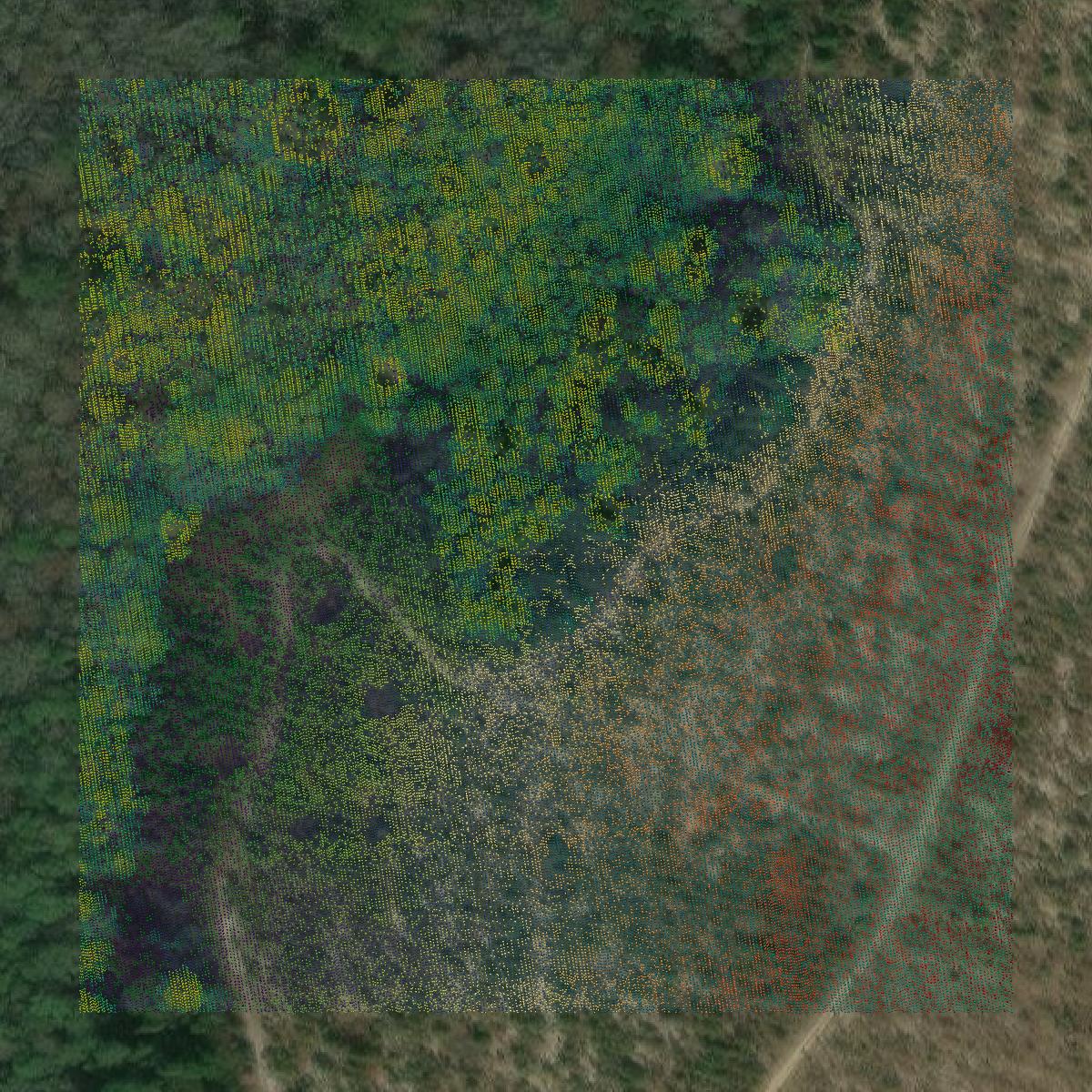 This image shows a LiDAR point cloud in Coffee County created using GIS data in Equator.