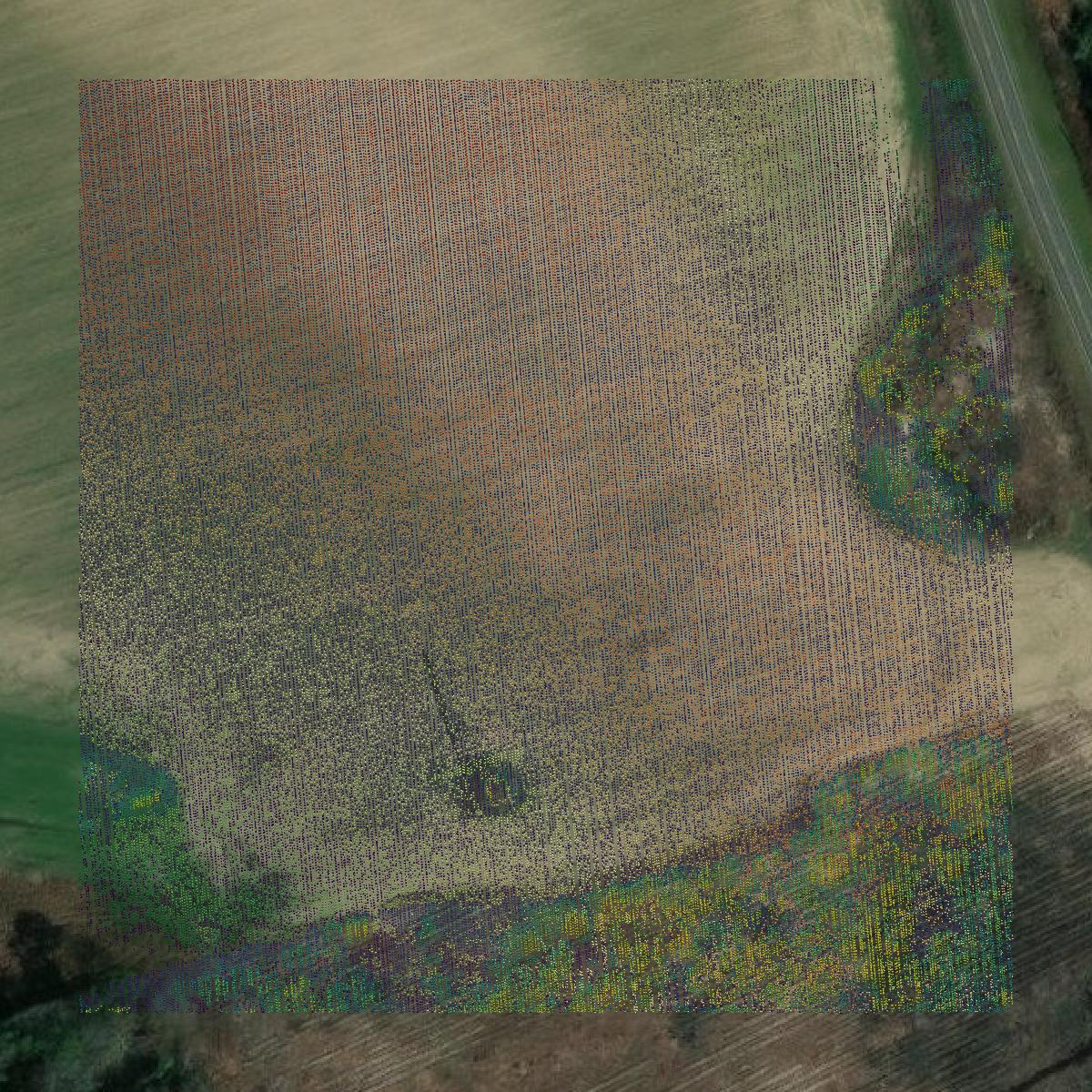 This image shows a LiDAR point cloud in Coffee County created using GIS data in Equator.