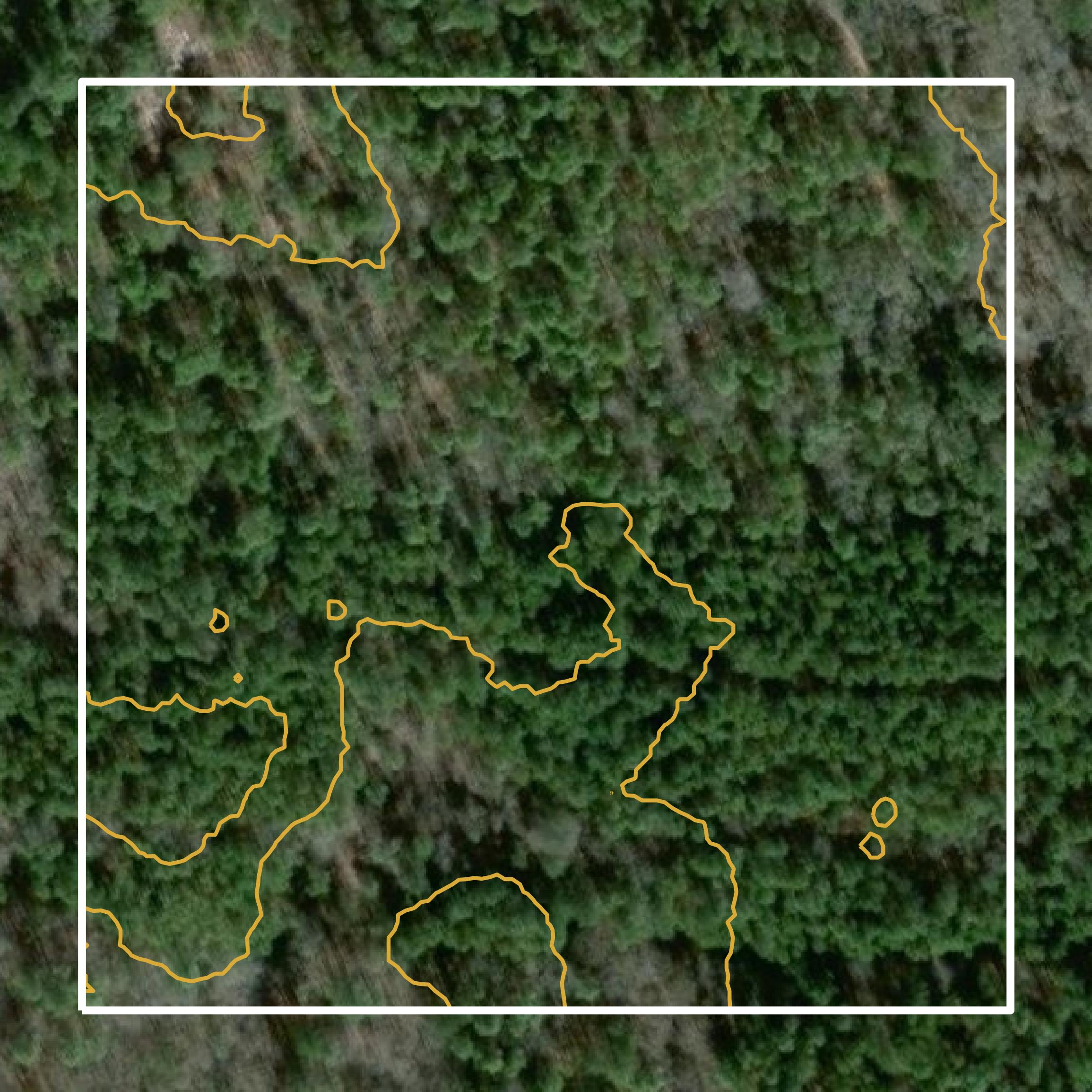 This image shows a contour map in Colquitt County created using GIS data in Equator.