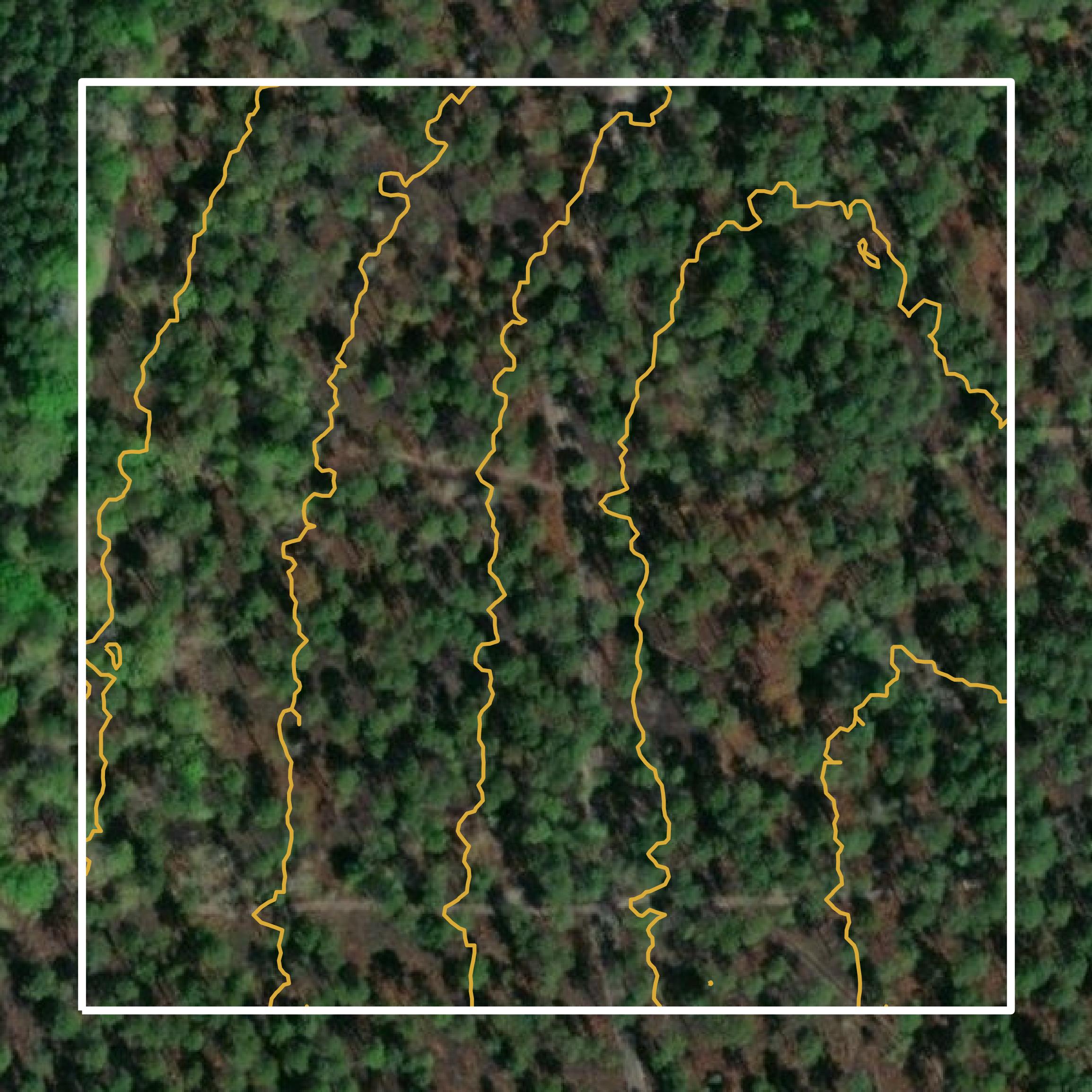 This image shows a contour map in Colquitt County created using GIS data in Equator.