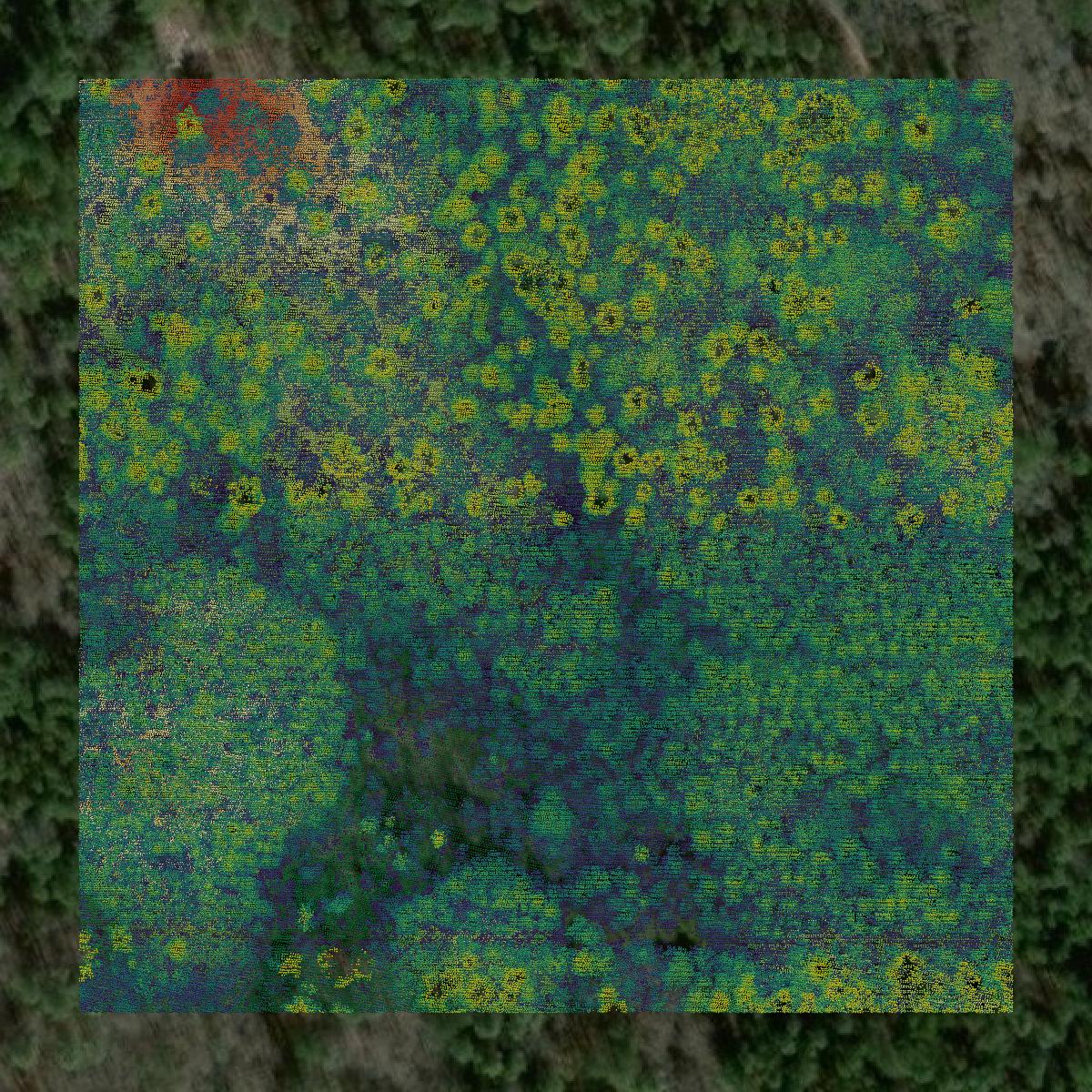 This image shows a LiDAR point cloud in Colquitt County created using GIS data in Equator.