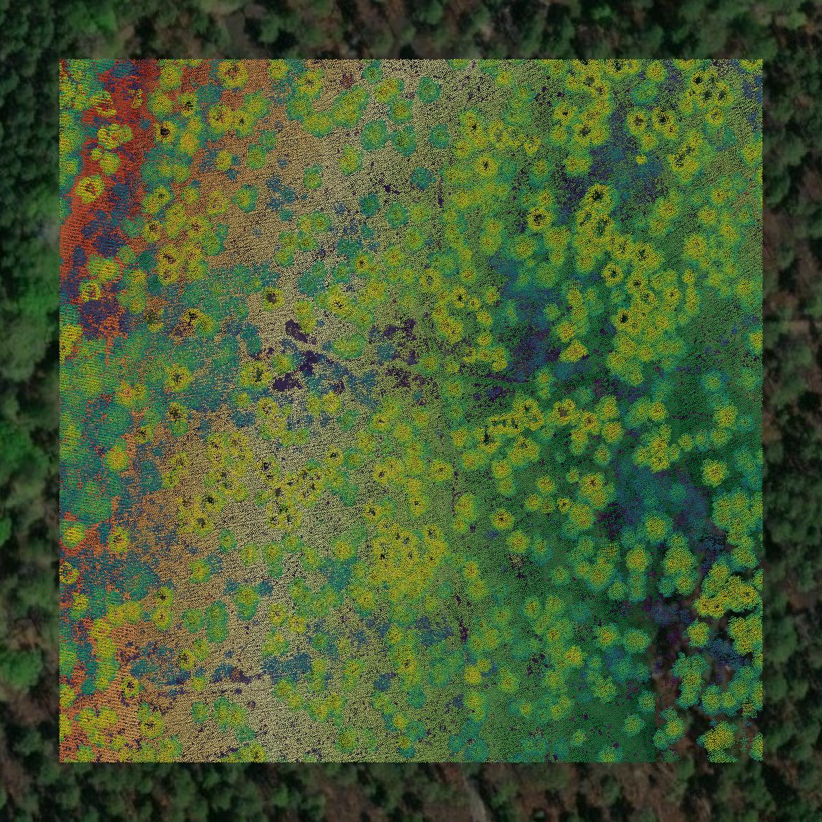 This image shows a LiDAR point cloud in Colquitt County created using GIS data in Equator.