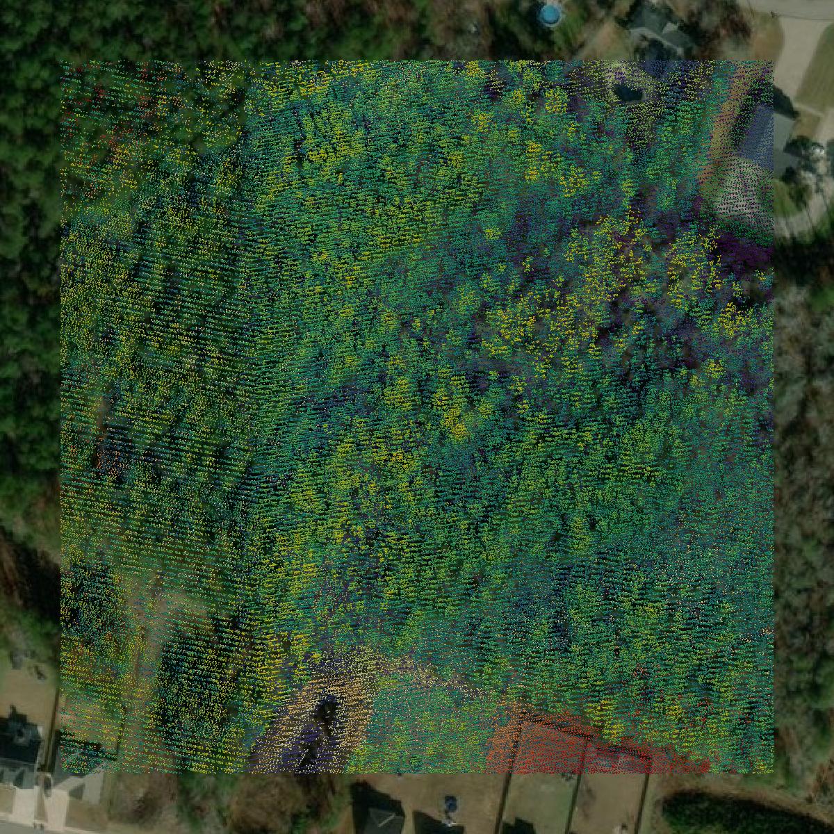 This image shows a LiDAR point cloud in Columbia County created using GIS data in Equator.