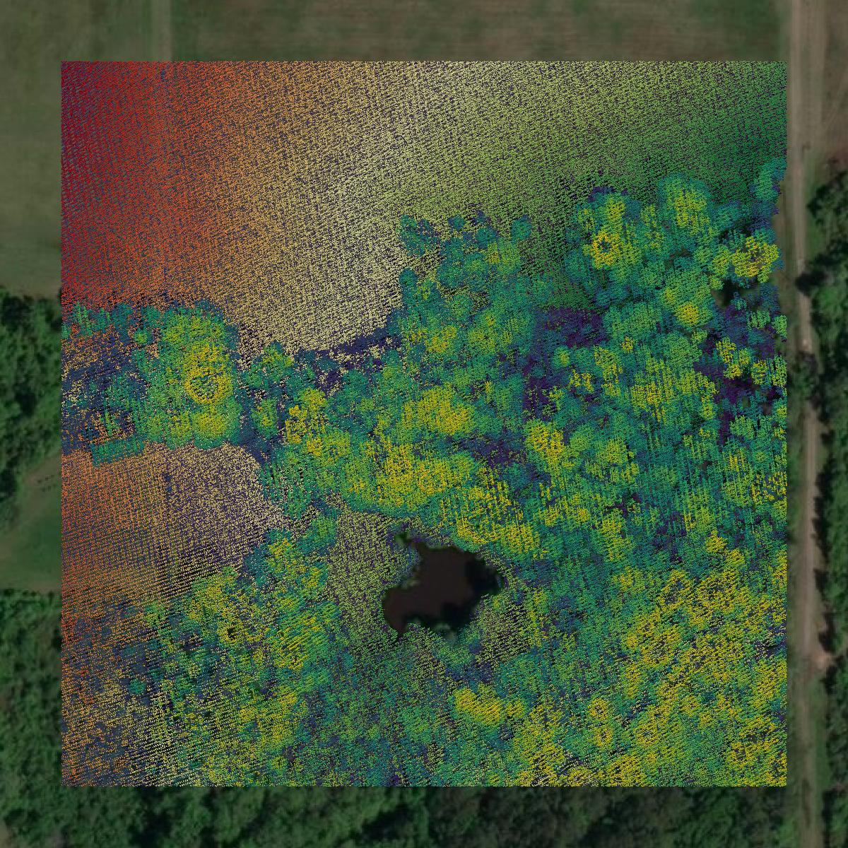 This image shows a LiDAR point cloud in Cook County created using GIS data in Equator.