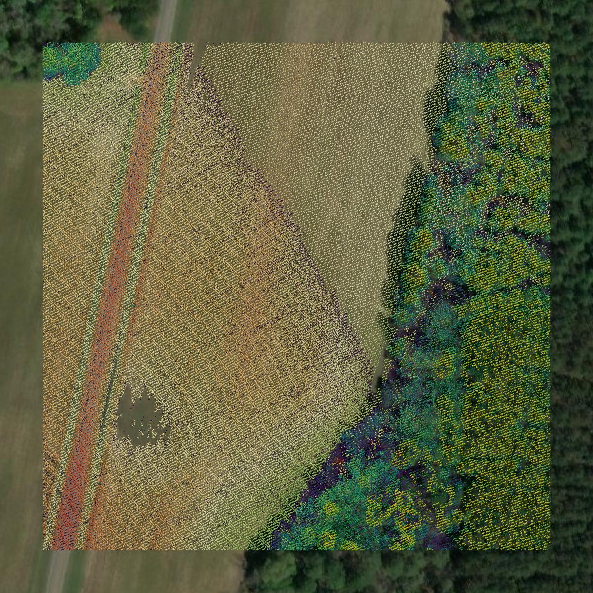 This image shows a LiDAR point cloud in Cook County created using GIS data in Equator.