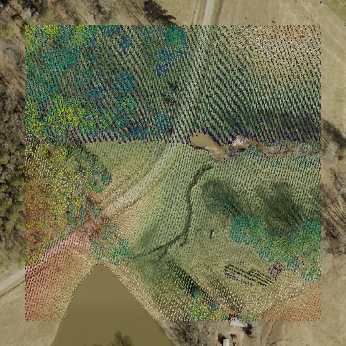 This image shows a LiDAR point cloud in Coweta County created using GIS data in Equator.