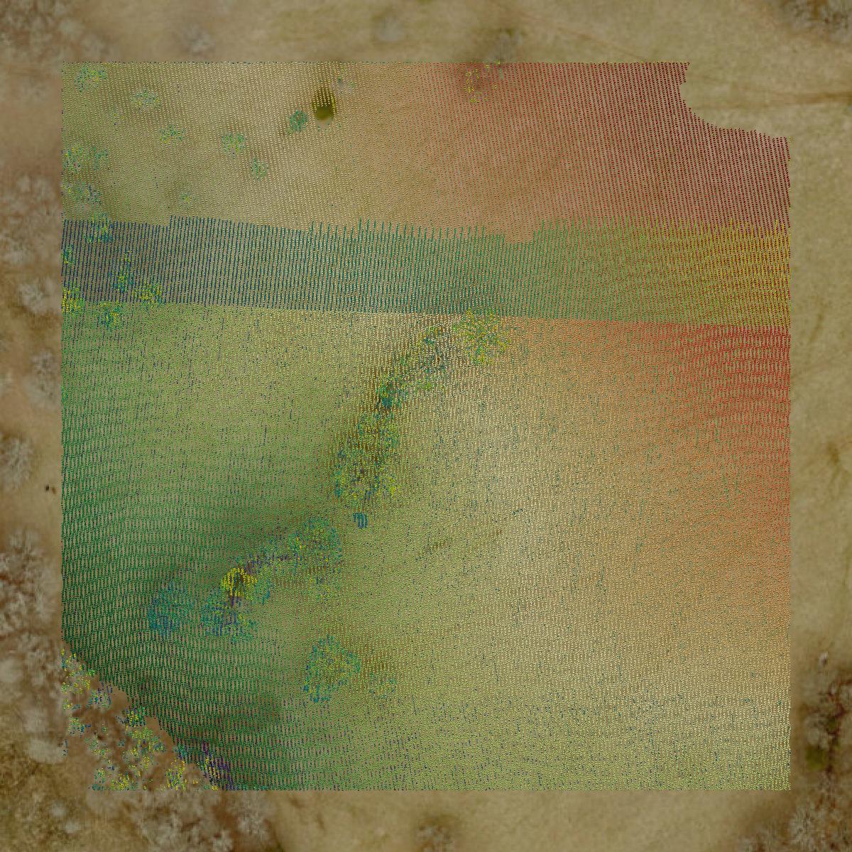 This image shows a LiDAR point cloud in Coweta County created using GIS data in Equator.