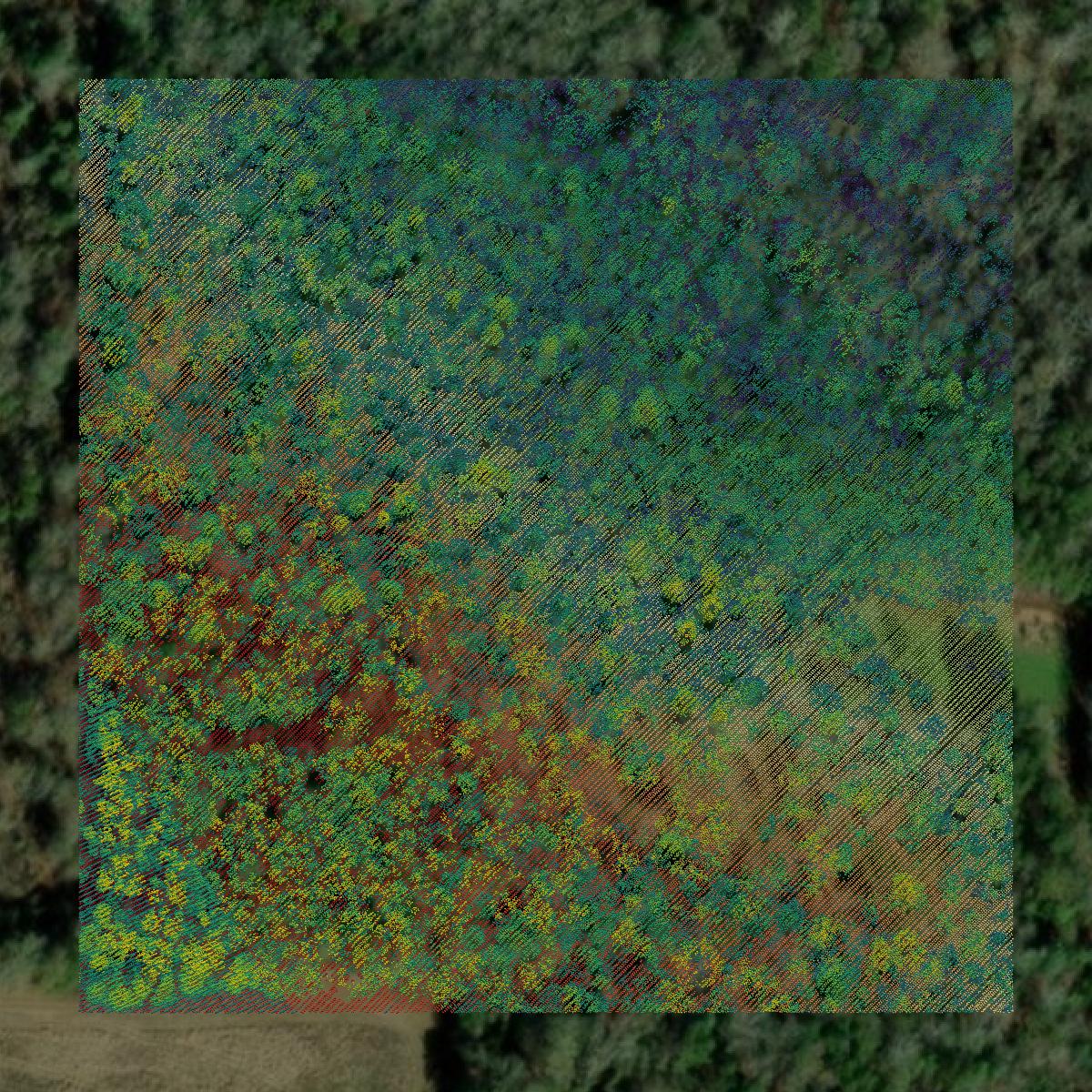 This image shows a LiDAR point cloud in Crawford County created using GIS data in Equator.