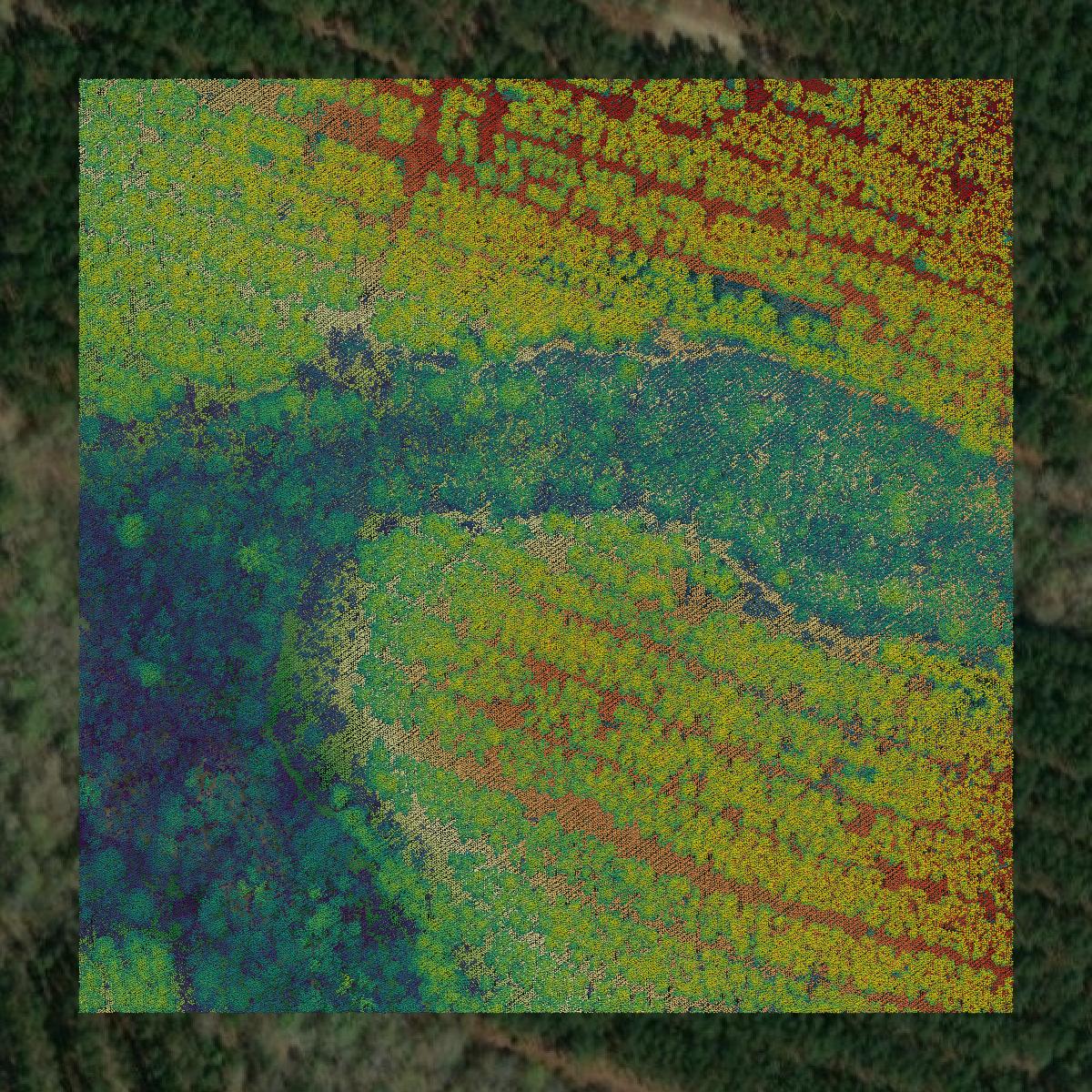 This image shows a LiDAR point cloud in Crisp County created using GIS data in Equator.