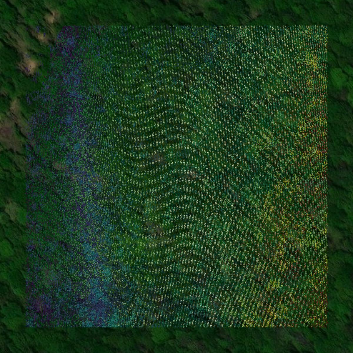 This image shows a LiDAR point cloud in Dade County created using GIS data in Equator.