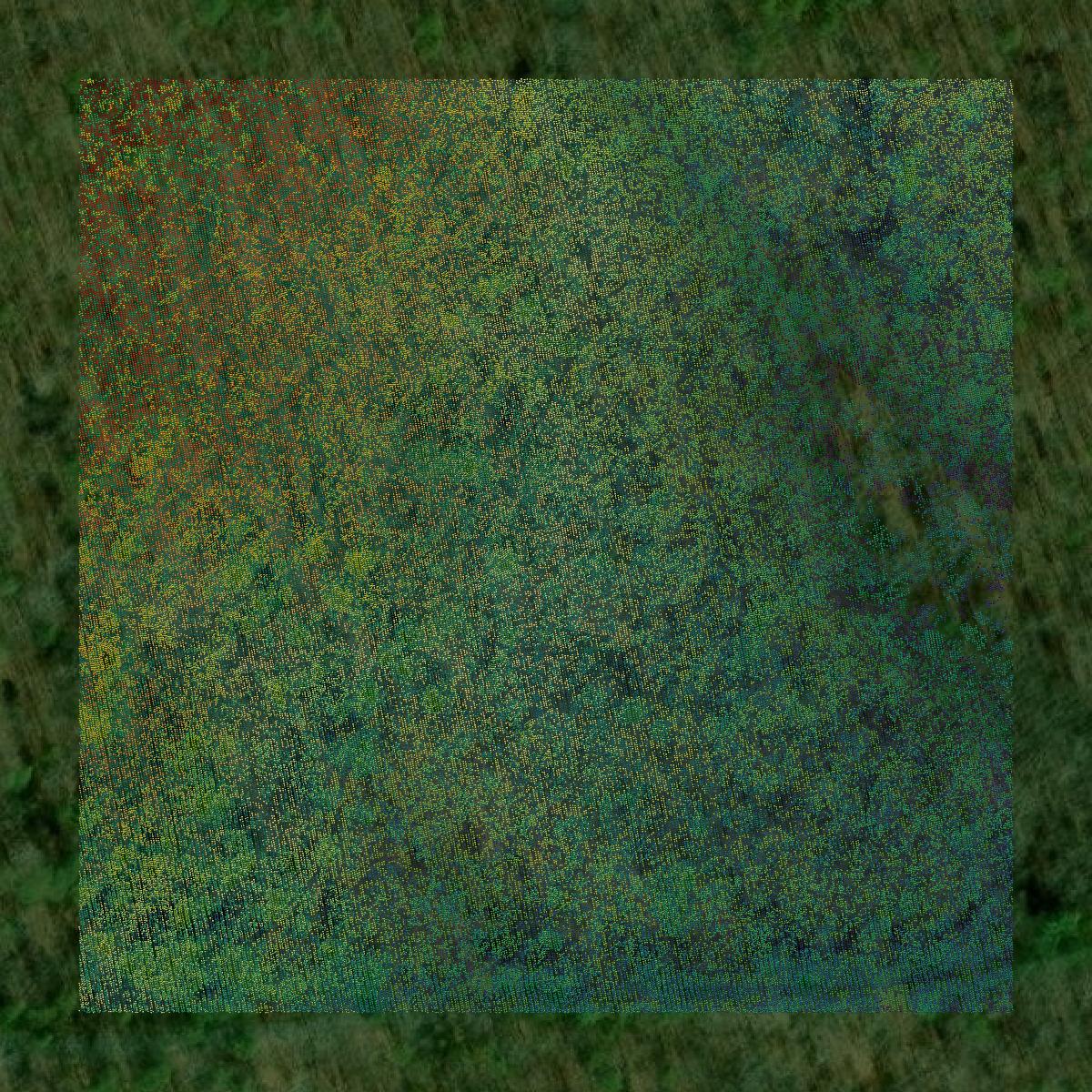 This image shows a LiDAR point cloud in Dade County created using GIS data in Equator.