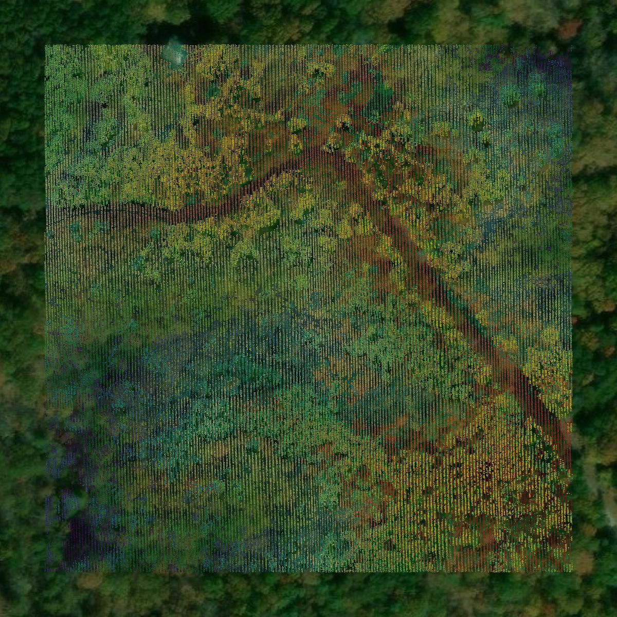 This image shows a LiDAR point cloud in Dawson County created using GIS data in Equator.