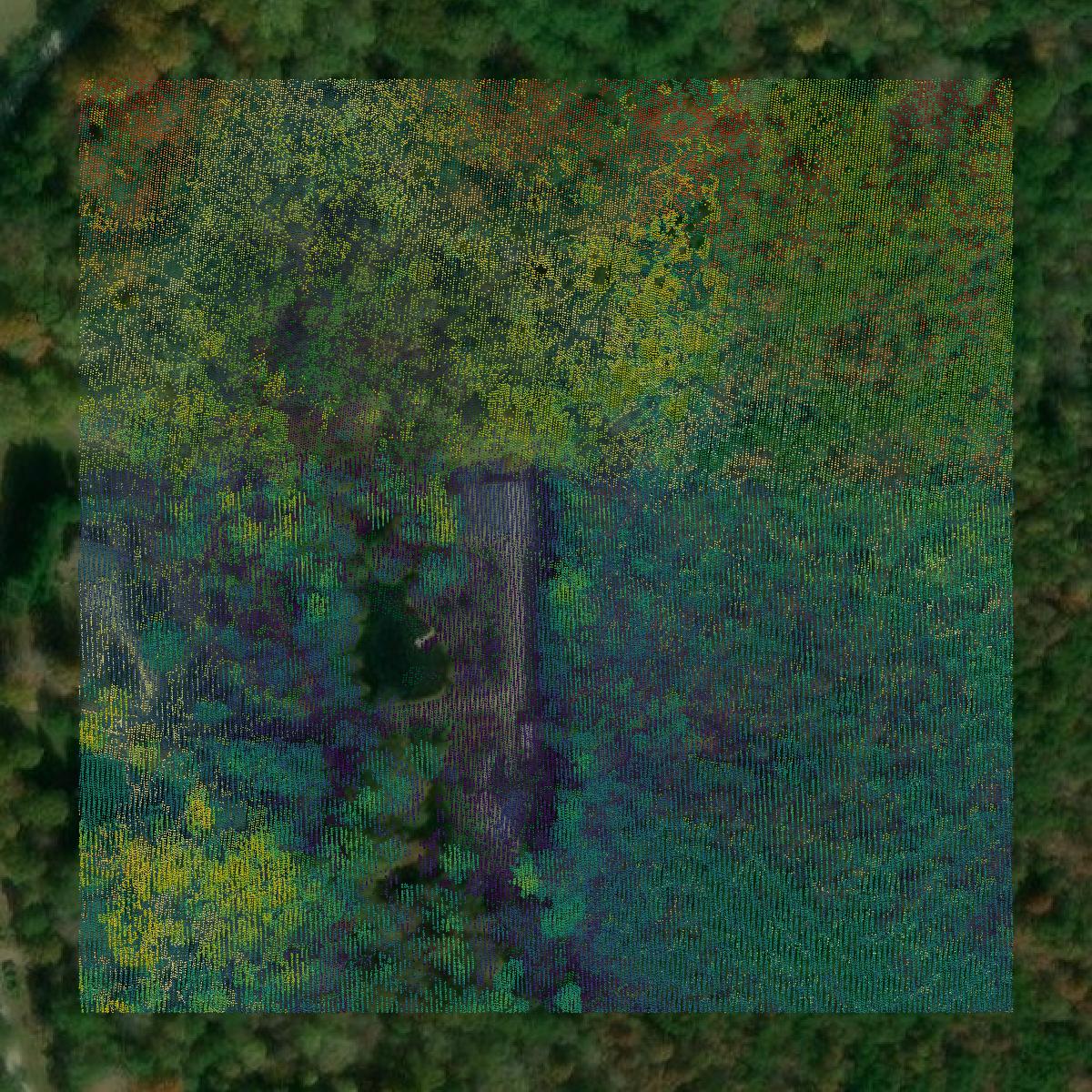 This image shows a LiDAR point cloud in Dawson County created using GIS data in Equator.
