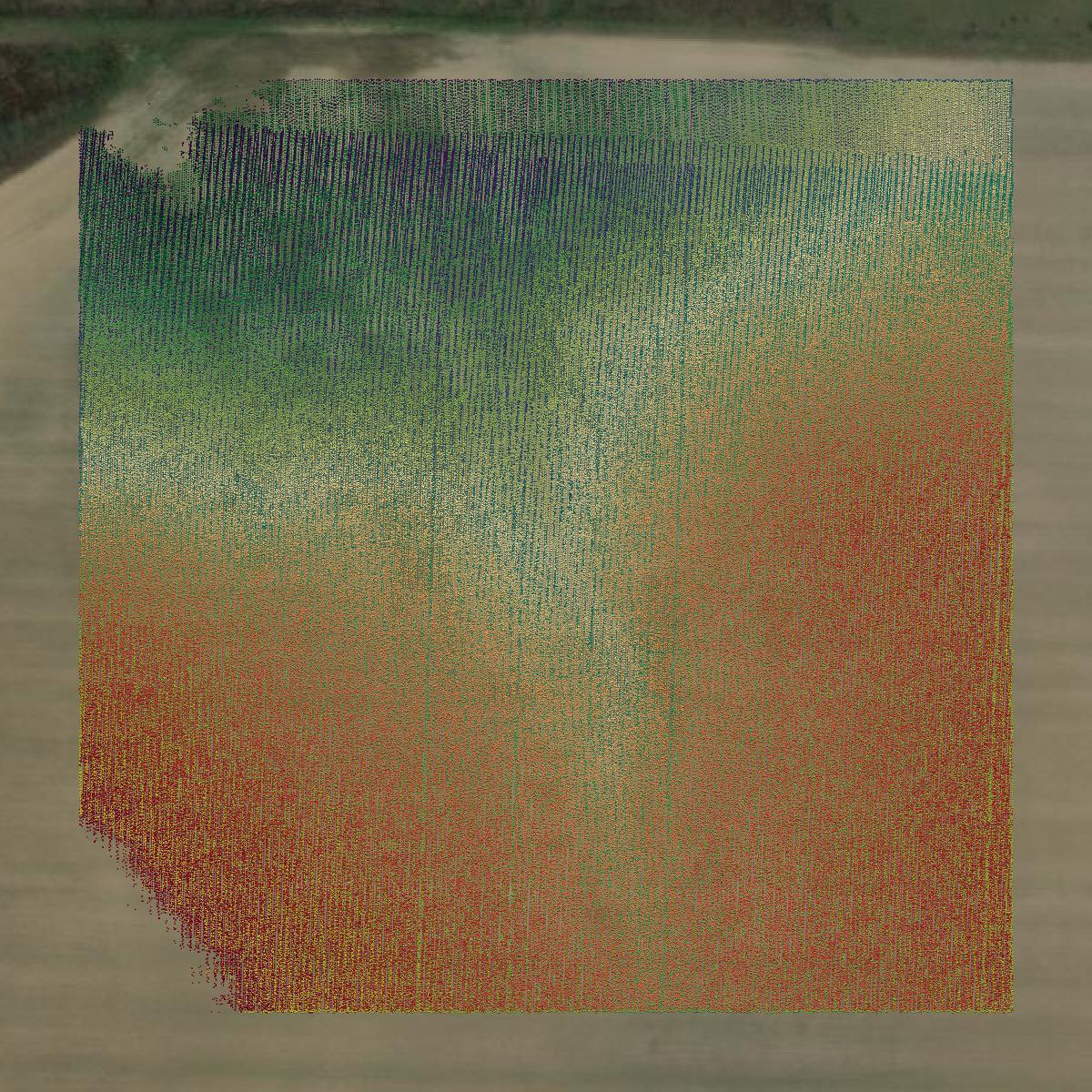 This image shows a LiDAR point cloud in Decatur County created using GIS data in Equator.