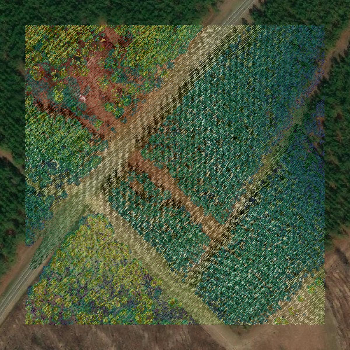 This image shows a LiDAR point cloud in Dodge County created using GIS data in Equator.