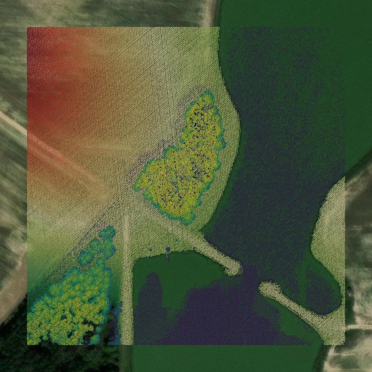 This image shows a LiDAR point cloud in Dooly County created using GIS data in Equator.