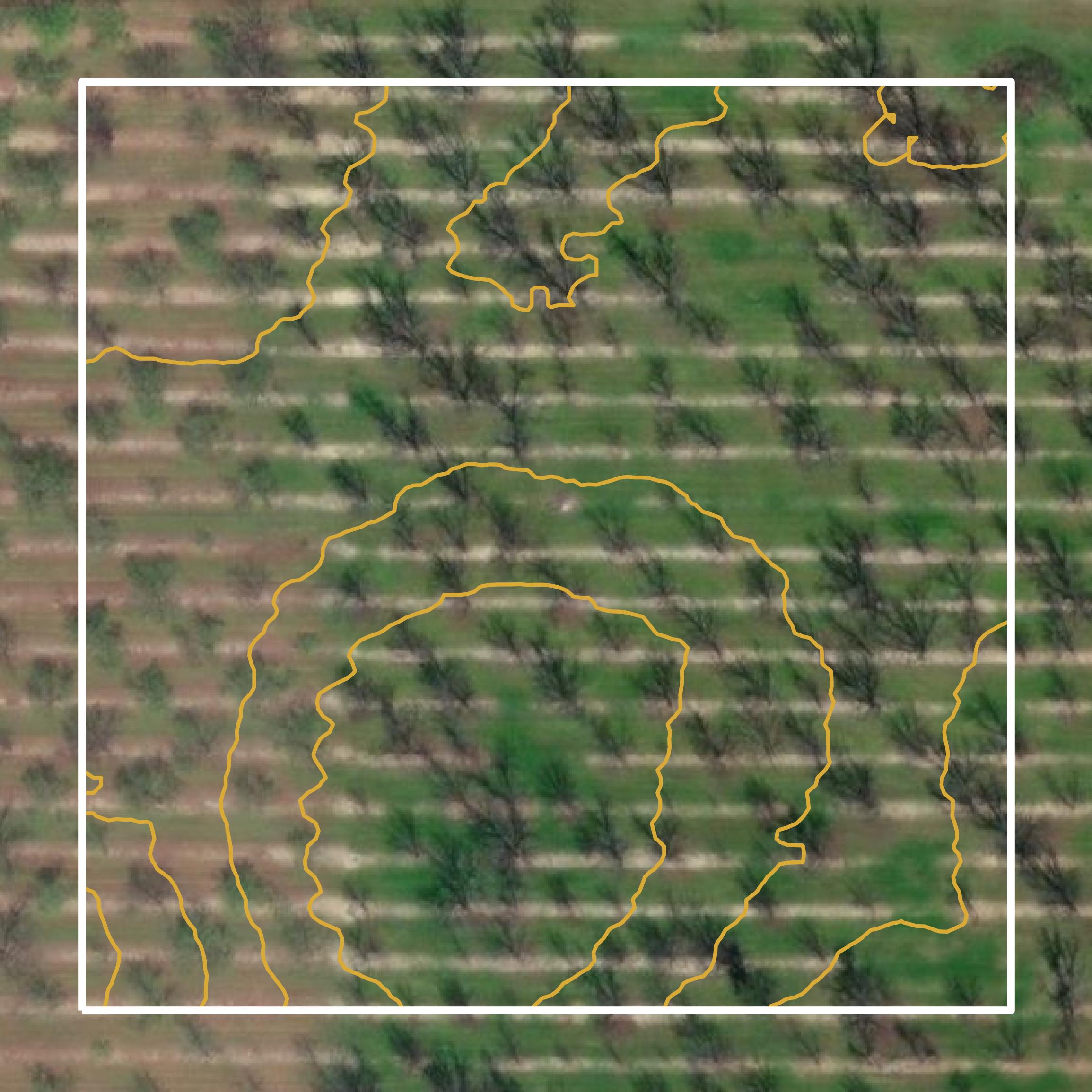 This image shows a contour map in Dougherty County created using GIS data in Equator.