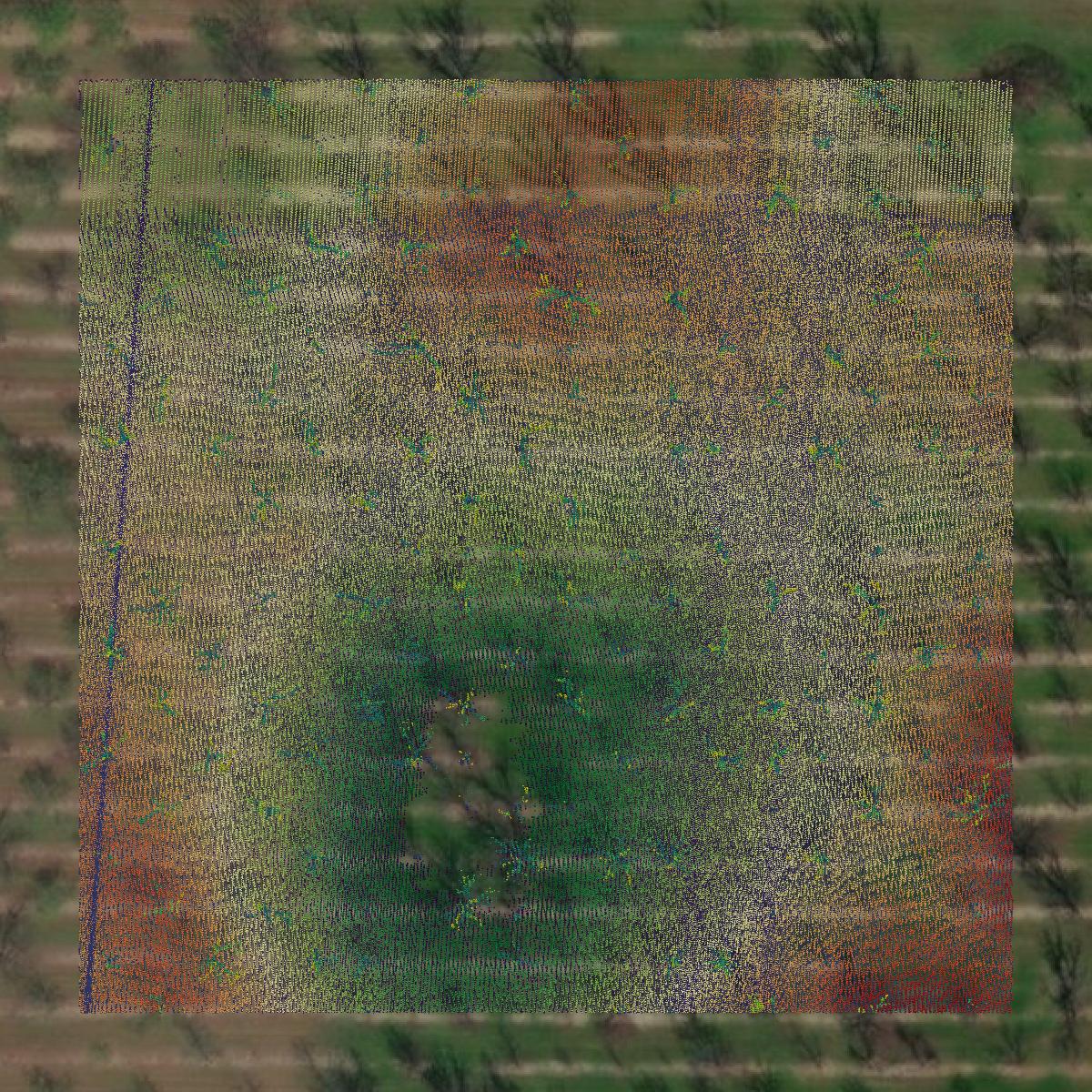 This image shows a LiDAR point cloud in Dougherty County created using GIS data in Equator.