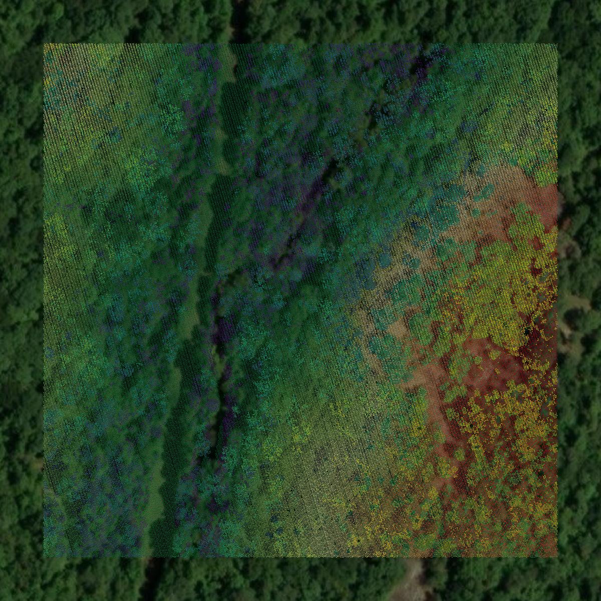This image shows a LiDAR point cloud in Douglas County created using GIS data in Equator.