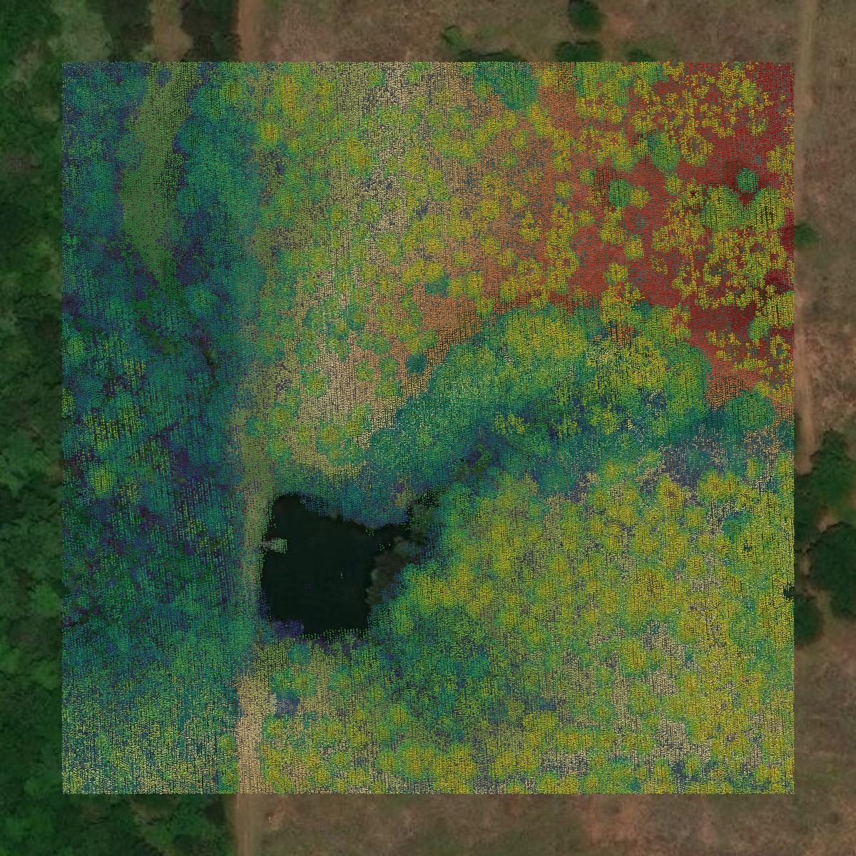 This image shows a LiDAR point cloud in Early County created using GIS data in Equator.