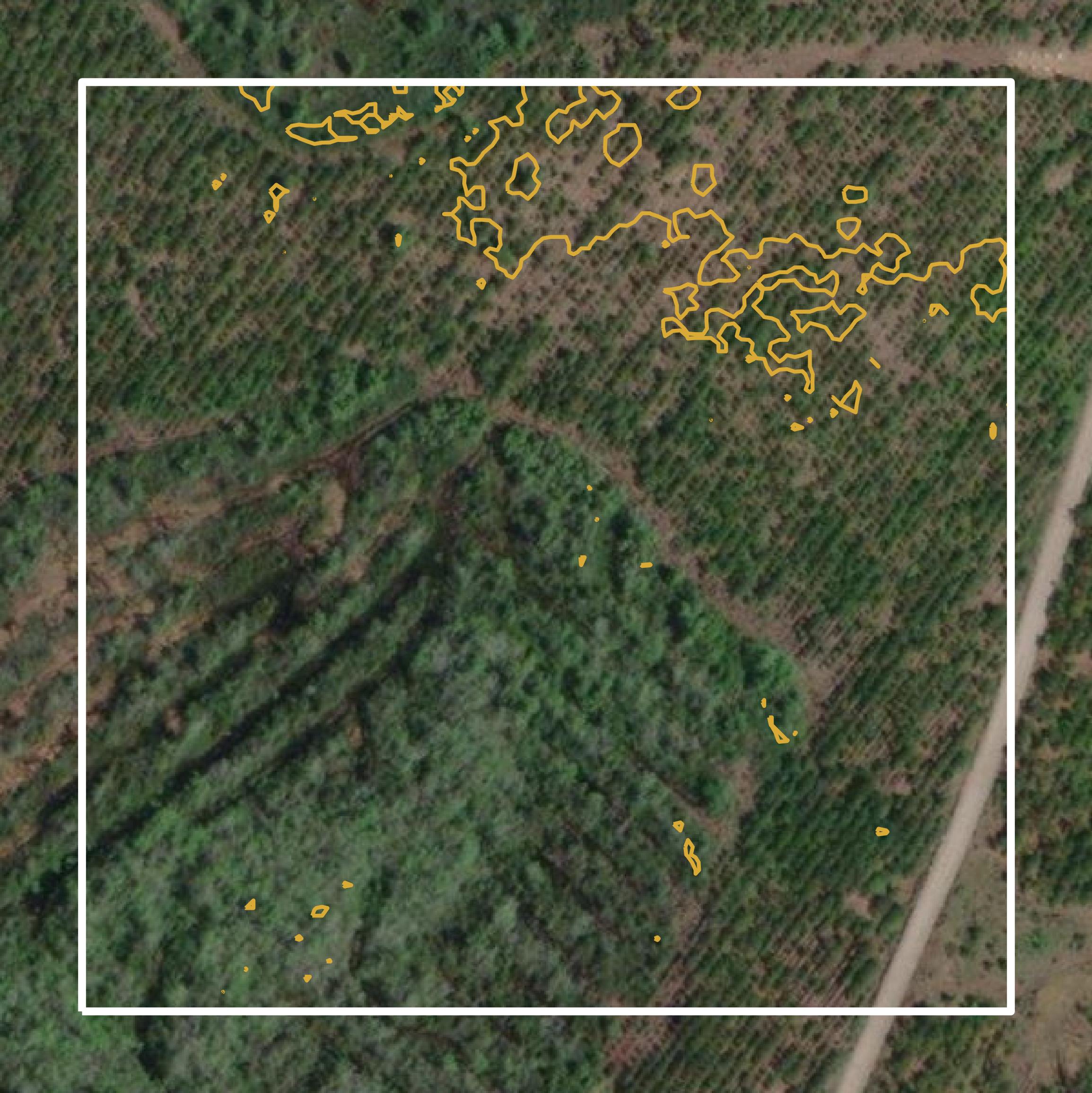 This image shows a contour map in Echols County created using GIS data in Equator.