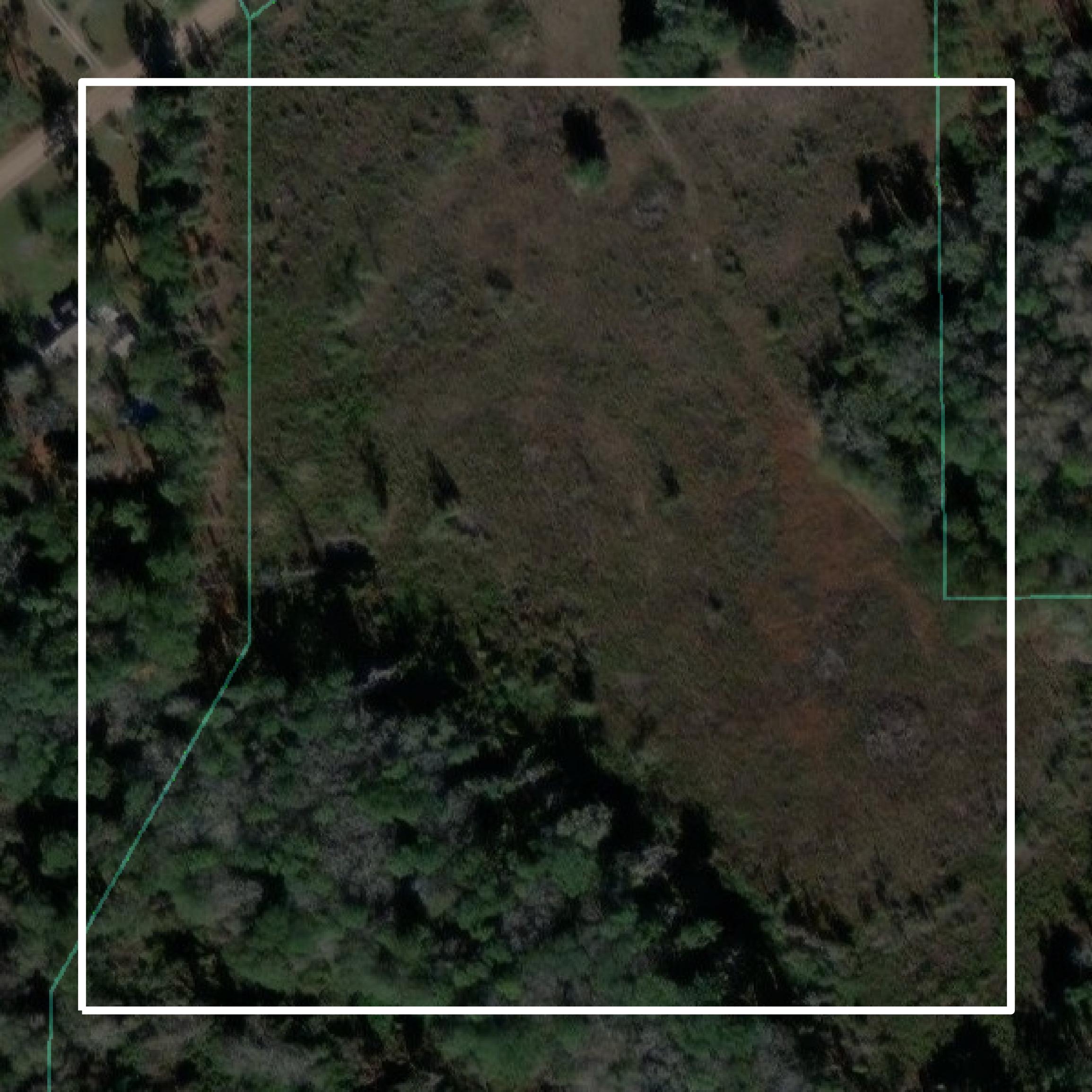 This image shows parcel and building data in Echols County created using GIS data in Equator.