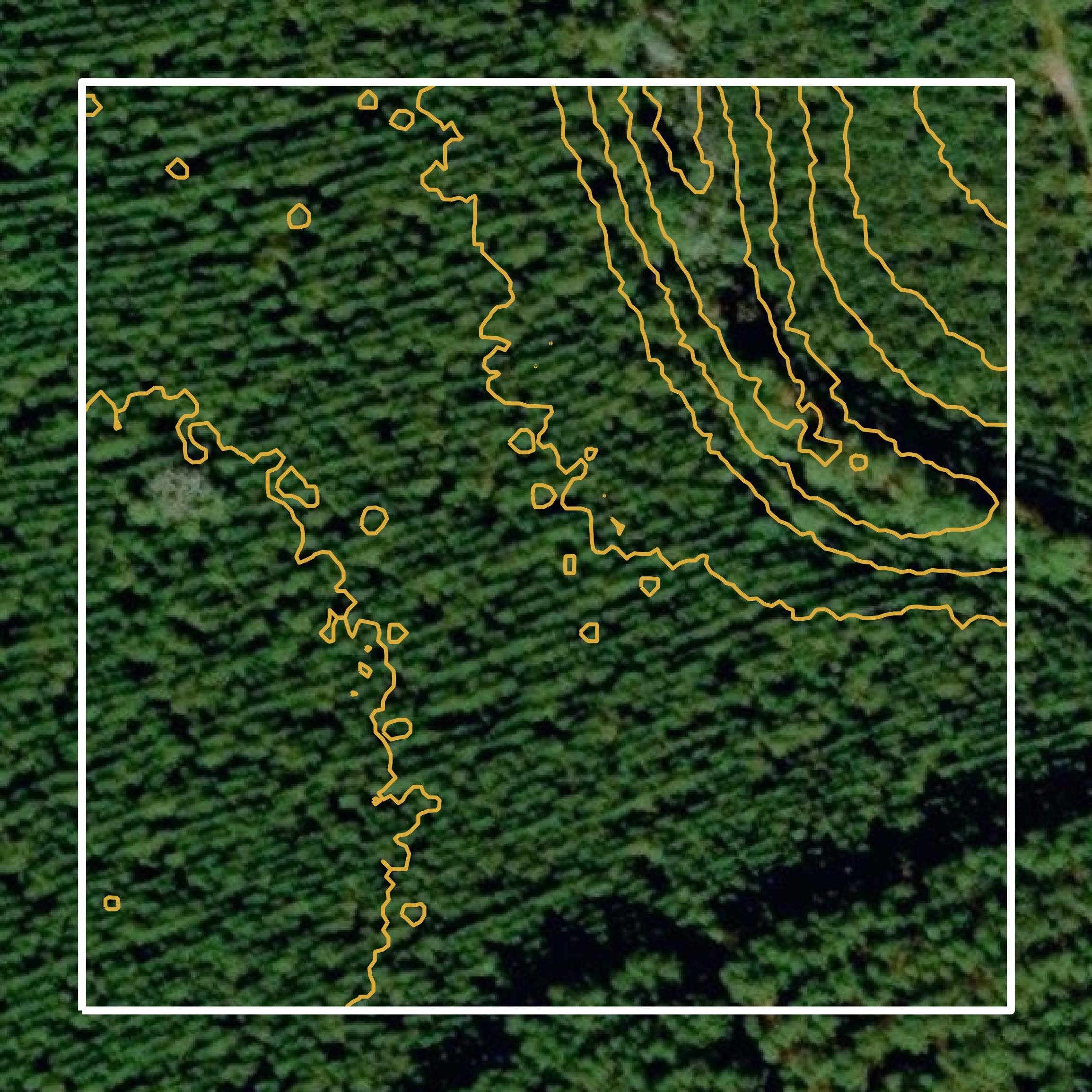 This image shows a contour map in Effingham County created using GIS data in Equator.