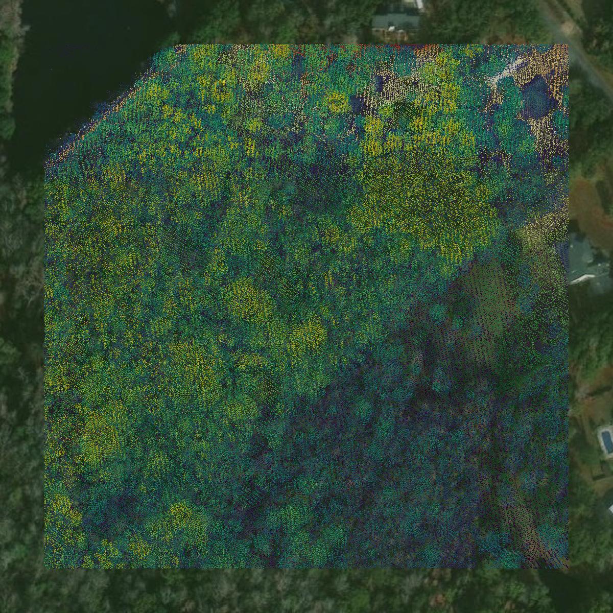 This image shows a LiDAR point cloud in Effingham County created using GIS data in Equator.