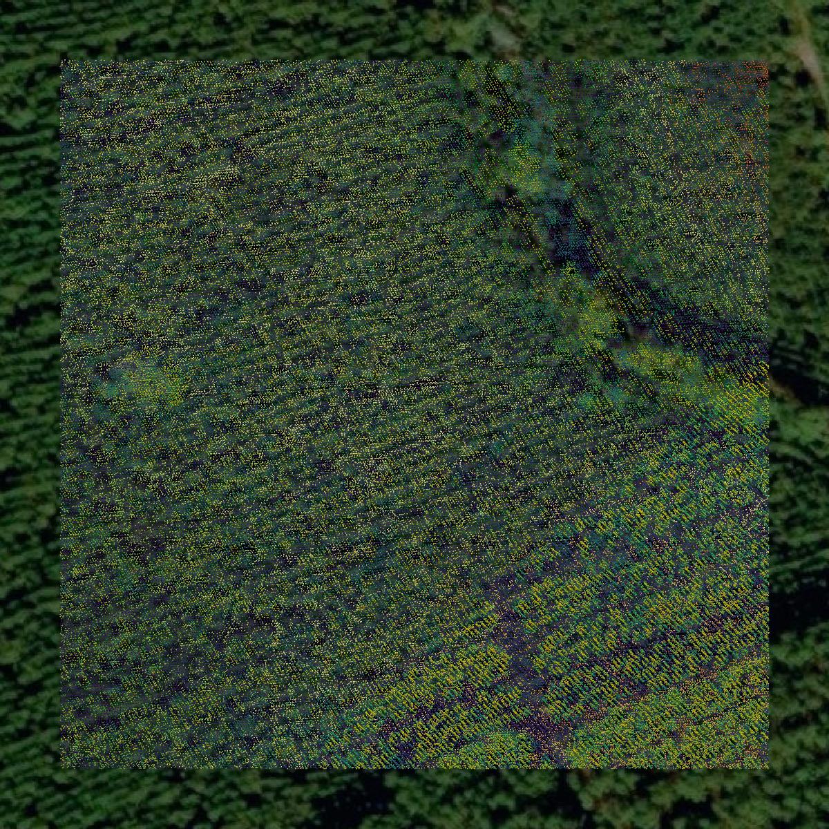 This image shows a LiDAR point cloud in Effingham County created using GIS data in Equator.