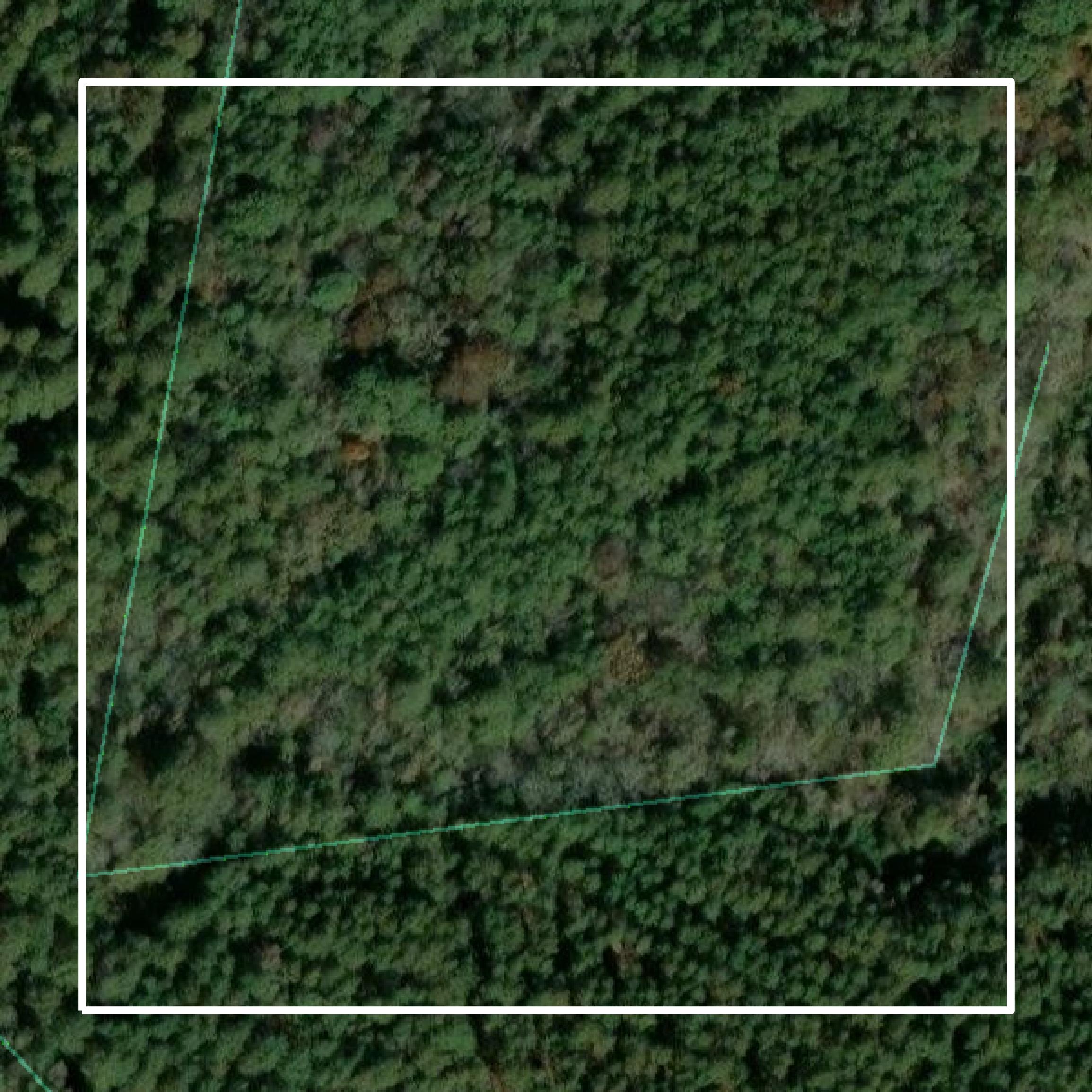 This image shows parcel and building data in Elbert County created using GIS data in Equator.